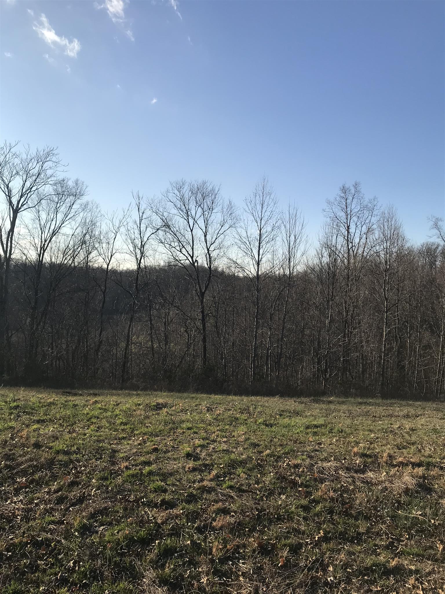 0 Daddy Green Road Beechgrove, TN 37018 - Photo 11 of 13 Gallery Image 11