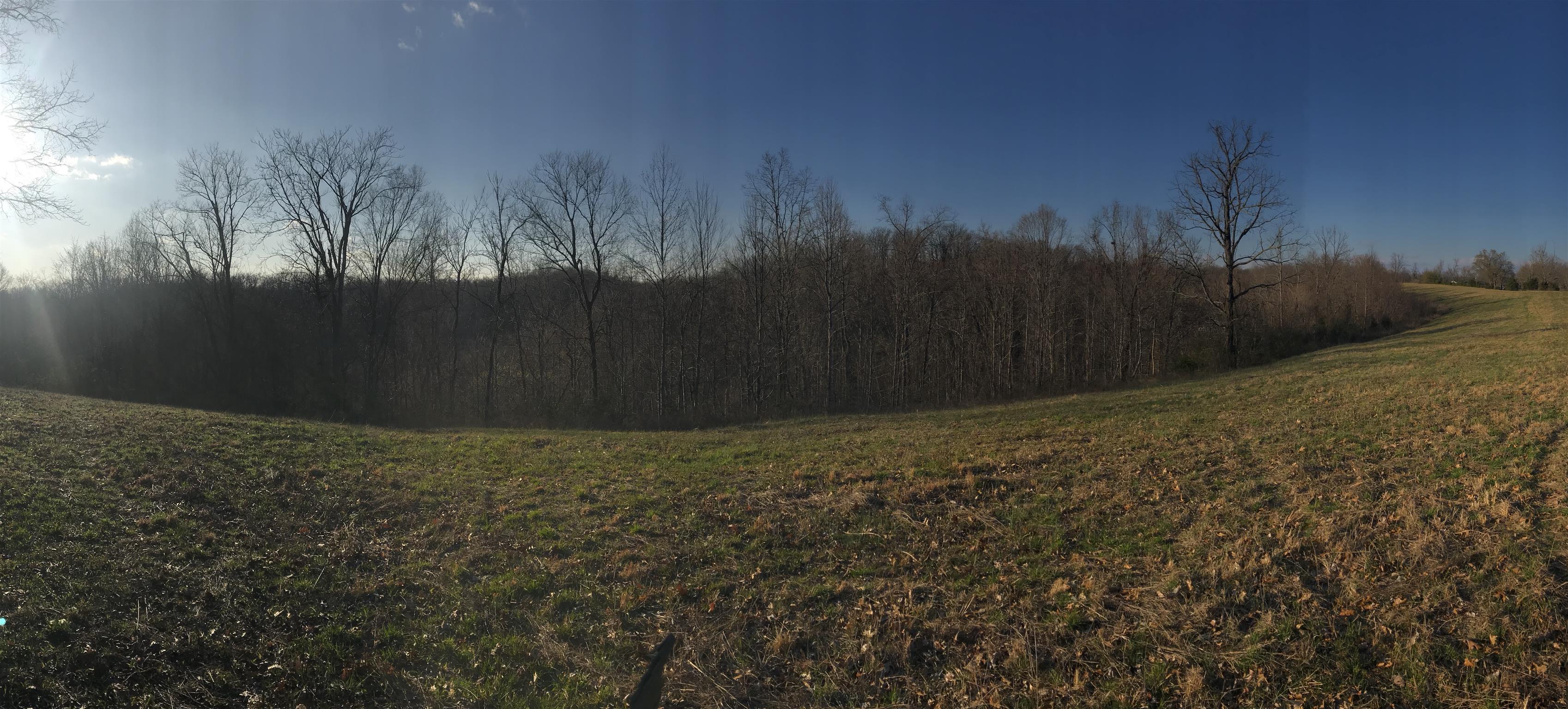 0 Daddy Green Road Beechgrove, TN 37018 - Photo 12 of 13 Gallery Image 12