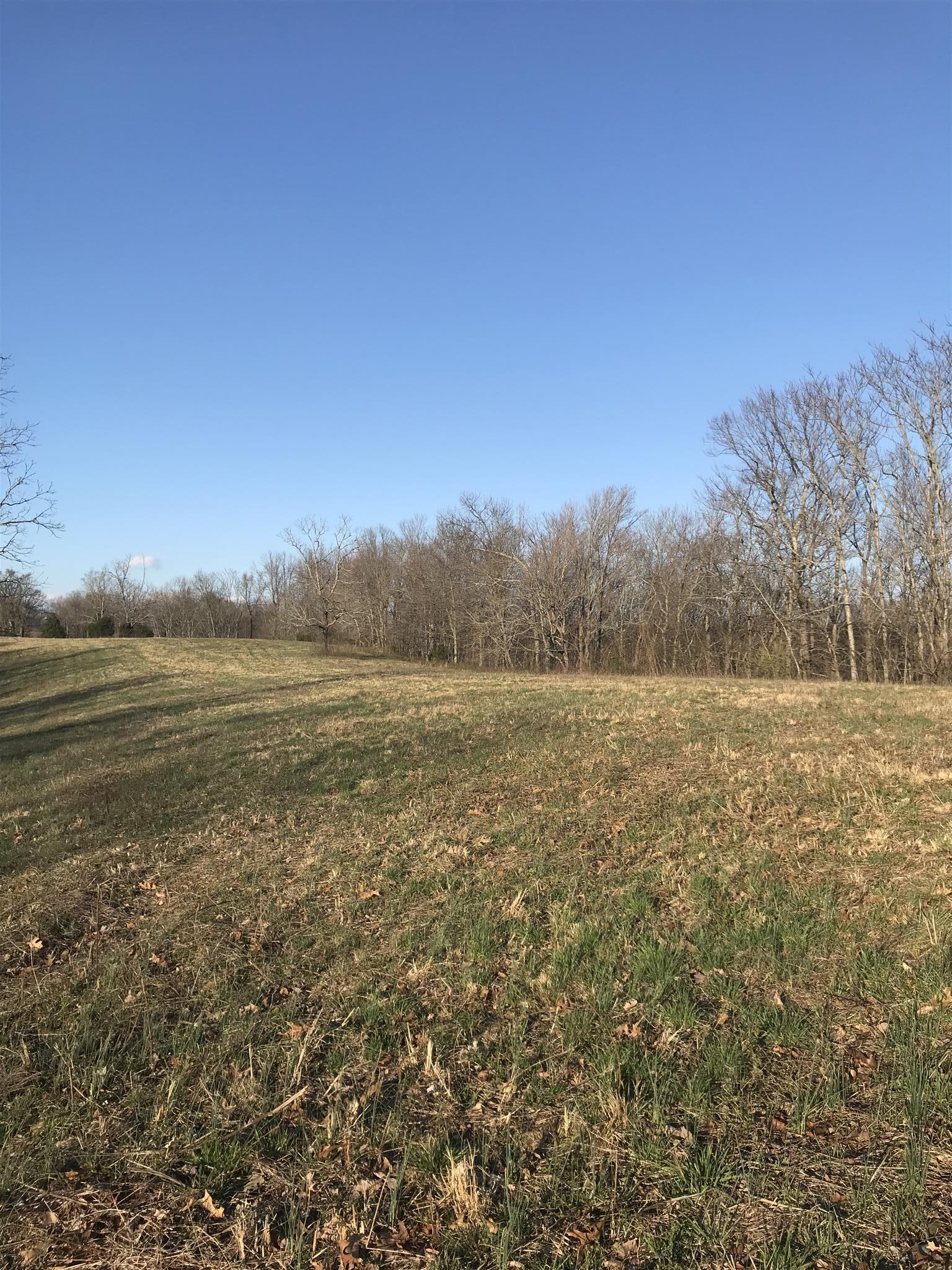 0 Daddy Green Road Beechgrove, TN 37018 - Photo 13 of 13 Gallery Image 13