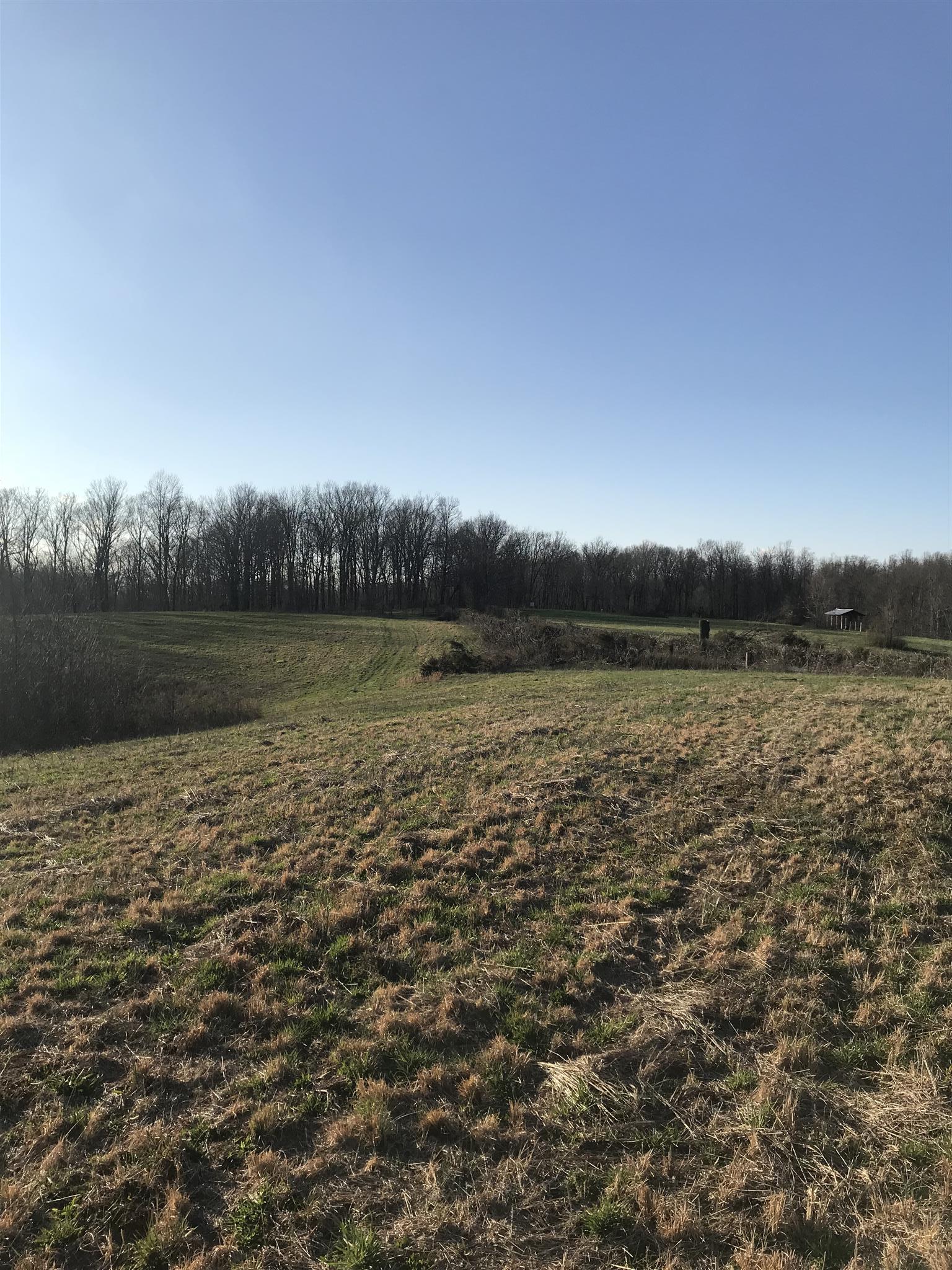 0 Daddy Green Road Beechgrove, TN 37018 - Photo 2 of 13 Gallery Image 2
