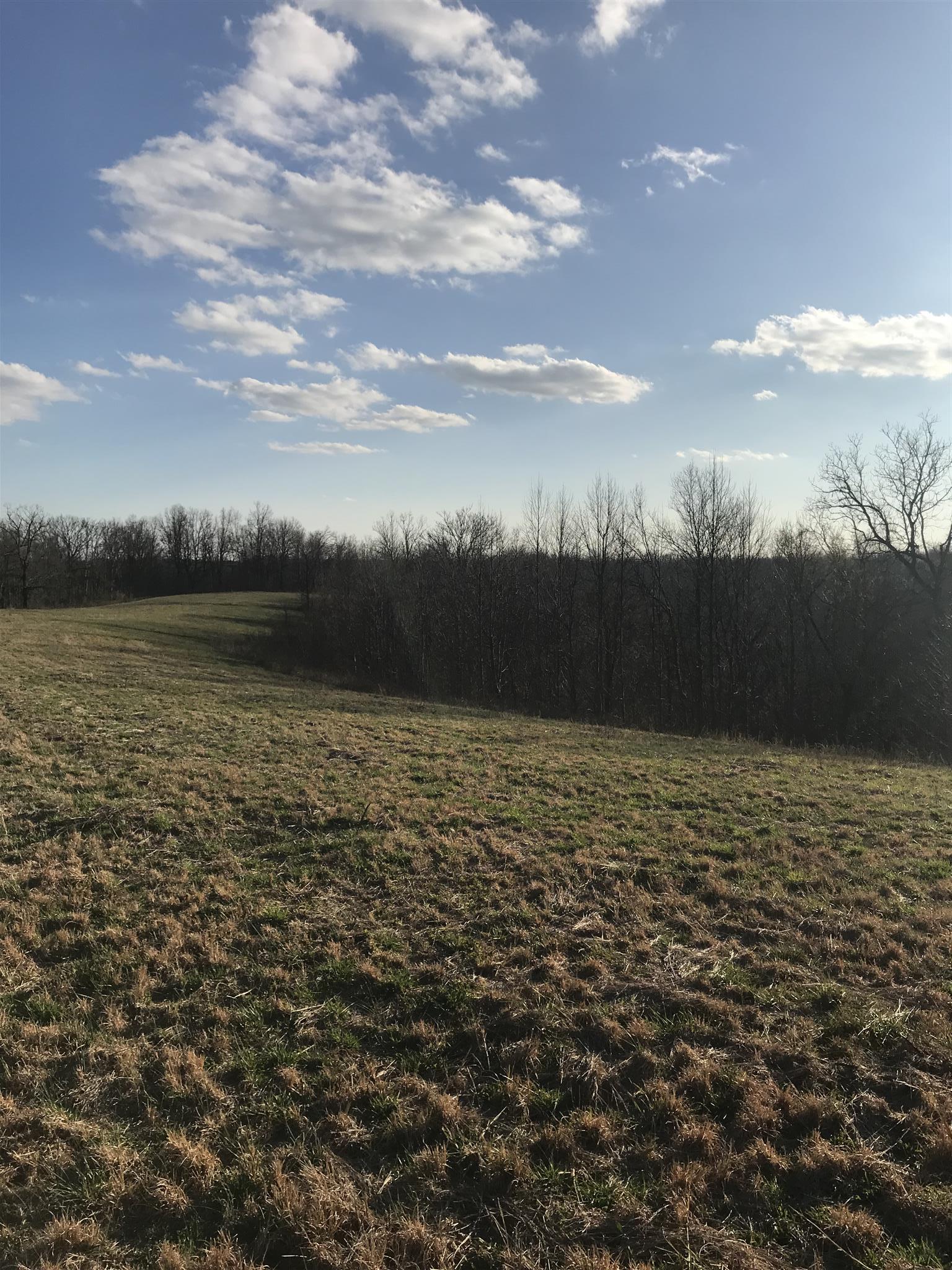 0 Daddy Green Road Beechgrove, TN 37018 - Photo 3 of 13 Gallery Image 3