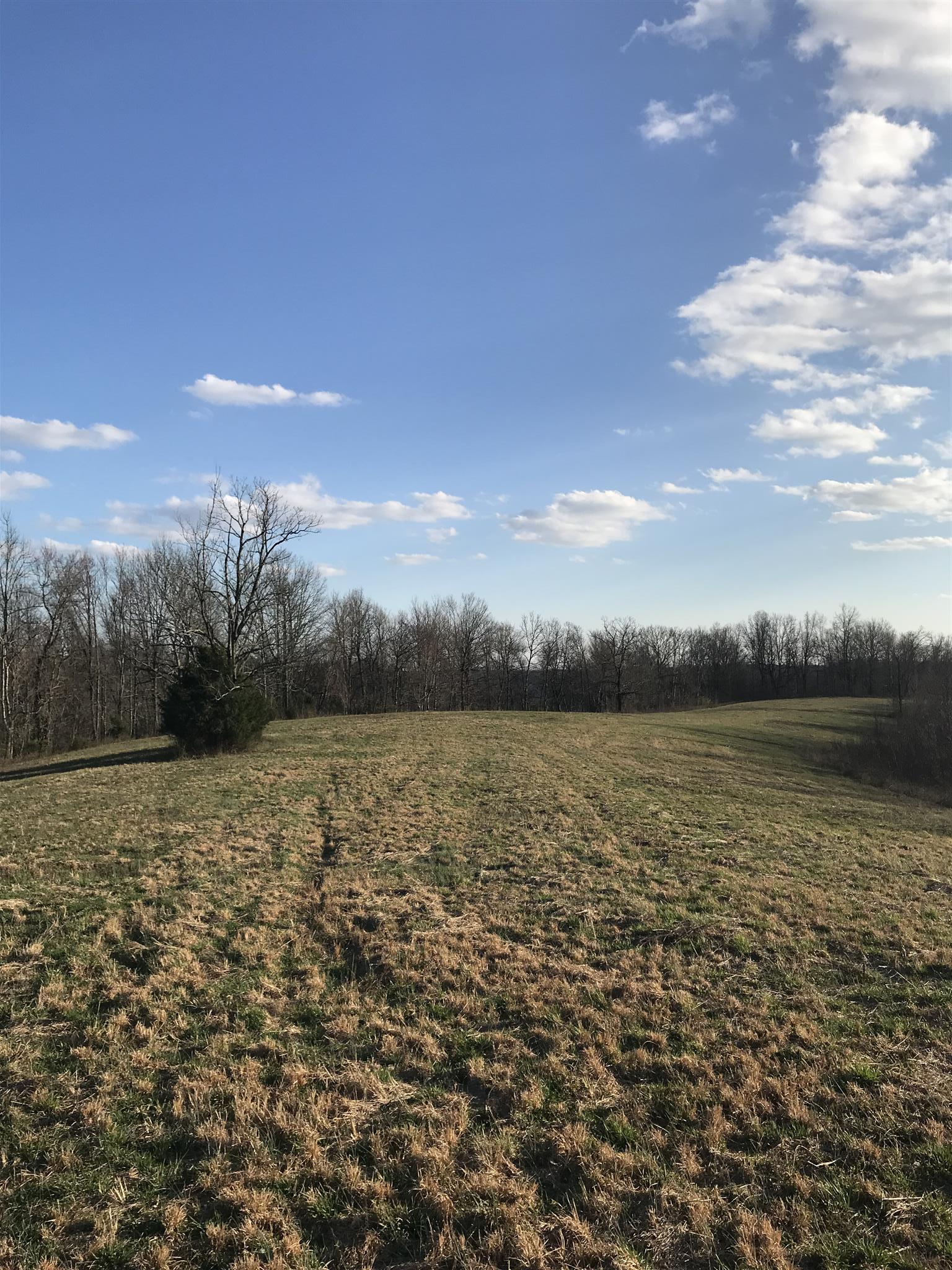 0 Daddy Green Road Beechgrove, TN 37018 - Photo 4 of 13 Gallery Image 4
