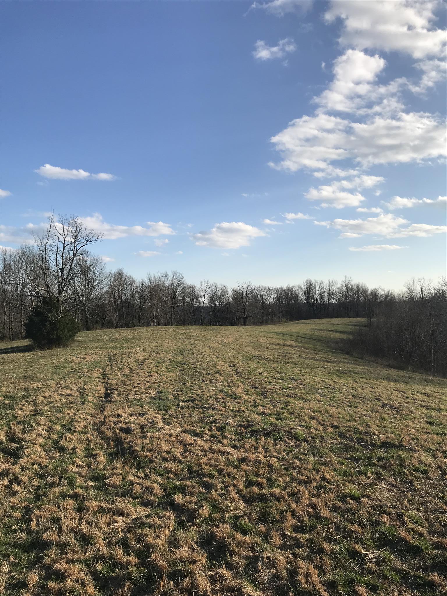 0 Daddy Green Road Beechgrove, TN 37018 - Photo 5 of 13 Gallery Image 5