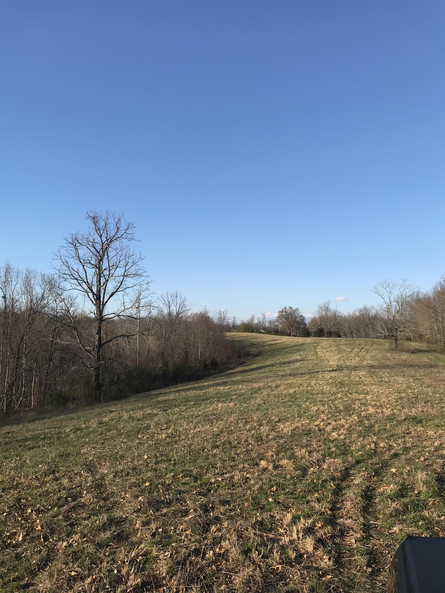0 Daddy Green Road Beechgrove, TN 37018 - Photo 6 of 13 Gallery Image 6