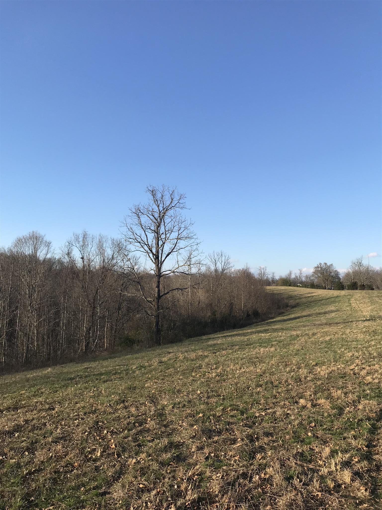 0 Daddy Green Road Beechgrove, TN 37018 - Photo 7 of 13 Gallery Image 7