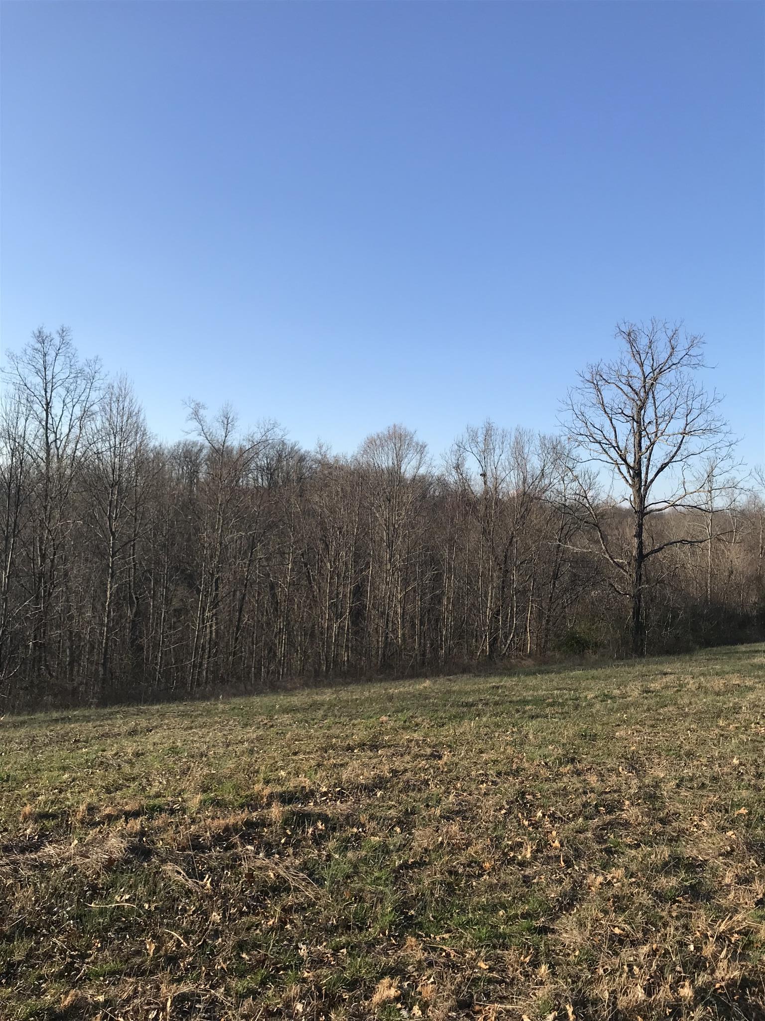 0 Daddy Green Road Beechgrove, TN 37018 - Photo 8 of 13 Gallery Image 8