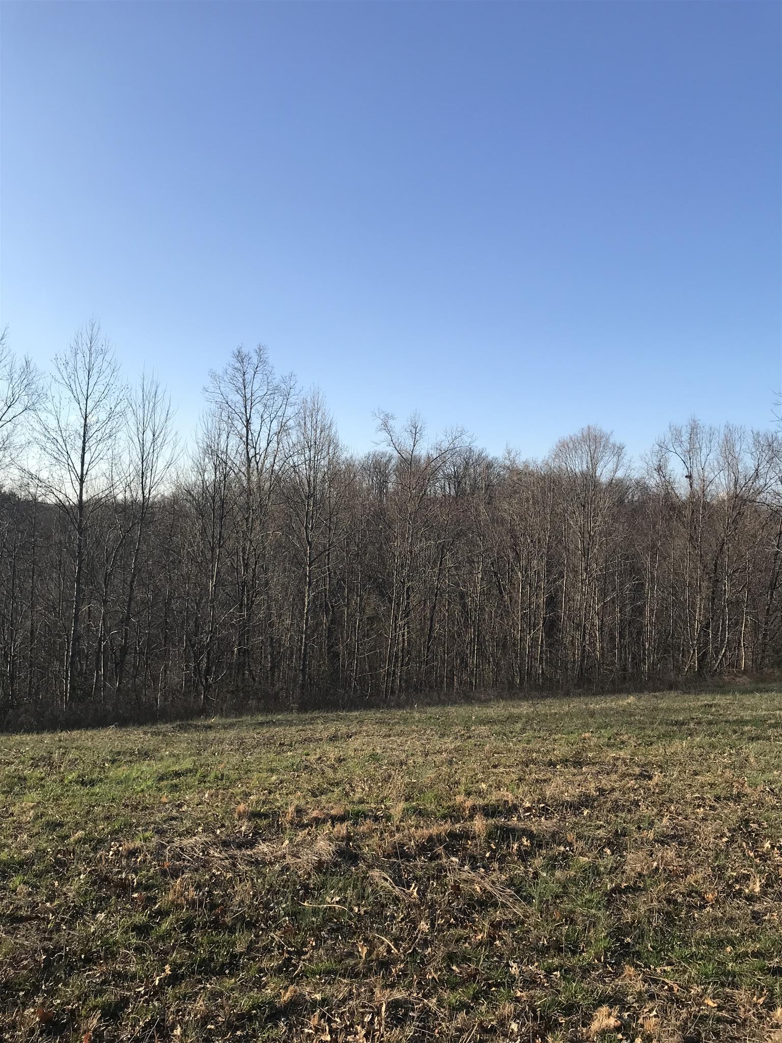 0 Daddy Green Road Beechgrove, TN 37018 - Photo 9 of 13 Gallery Image 9