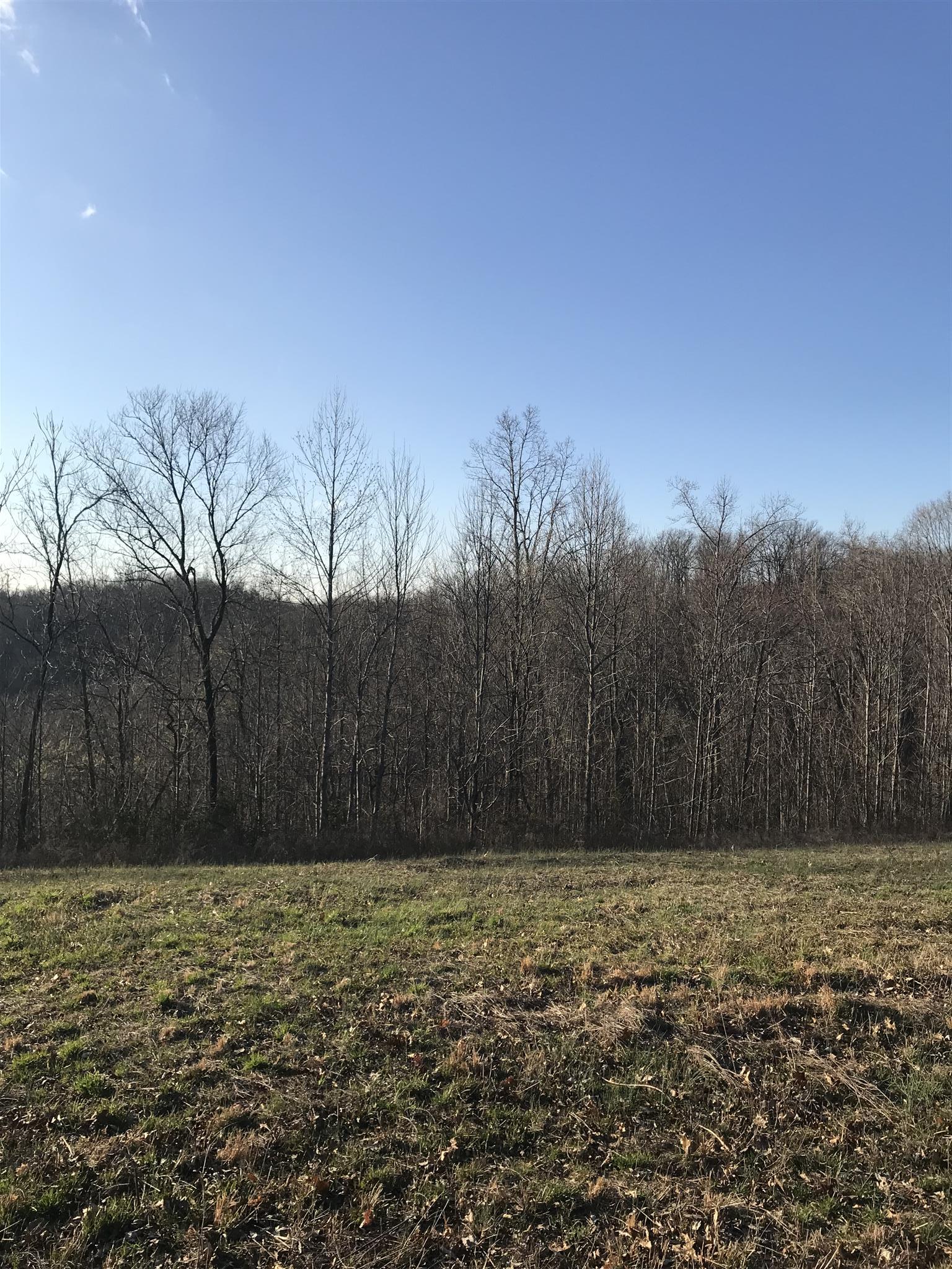 0 Daddy Green Road Beechgrove, TN 37018 - Photo 10 of 13 Gallery Image 10