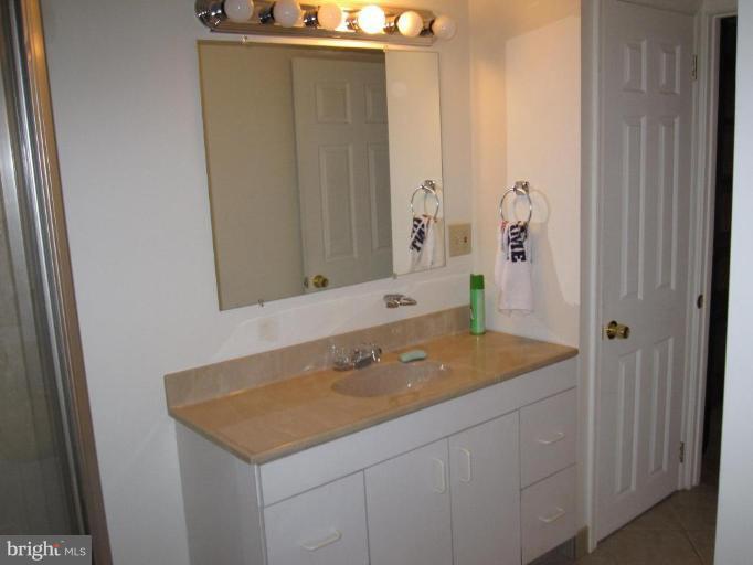 7917 34th Street Rosedale, MD 21237 - Photo 10 of 23 a bathroom with a sink and a mirror