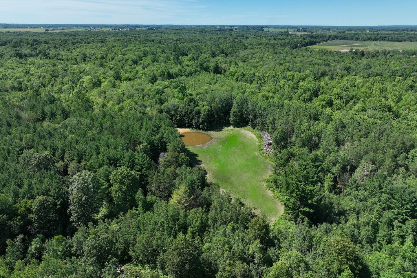 1878 East Beyer Road Free Soil, MI 49411 - Photo 1 of 49 1
