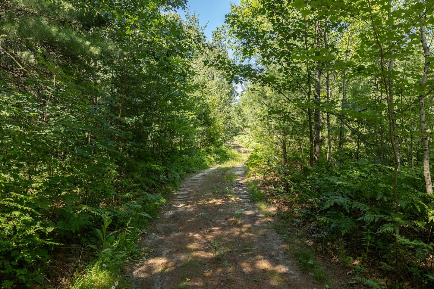 1878 East Beyer Road Free Soil, MI 49411 - Photo 11 of 49 7