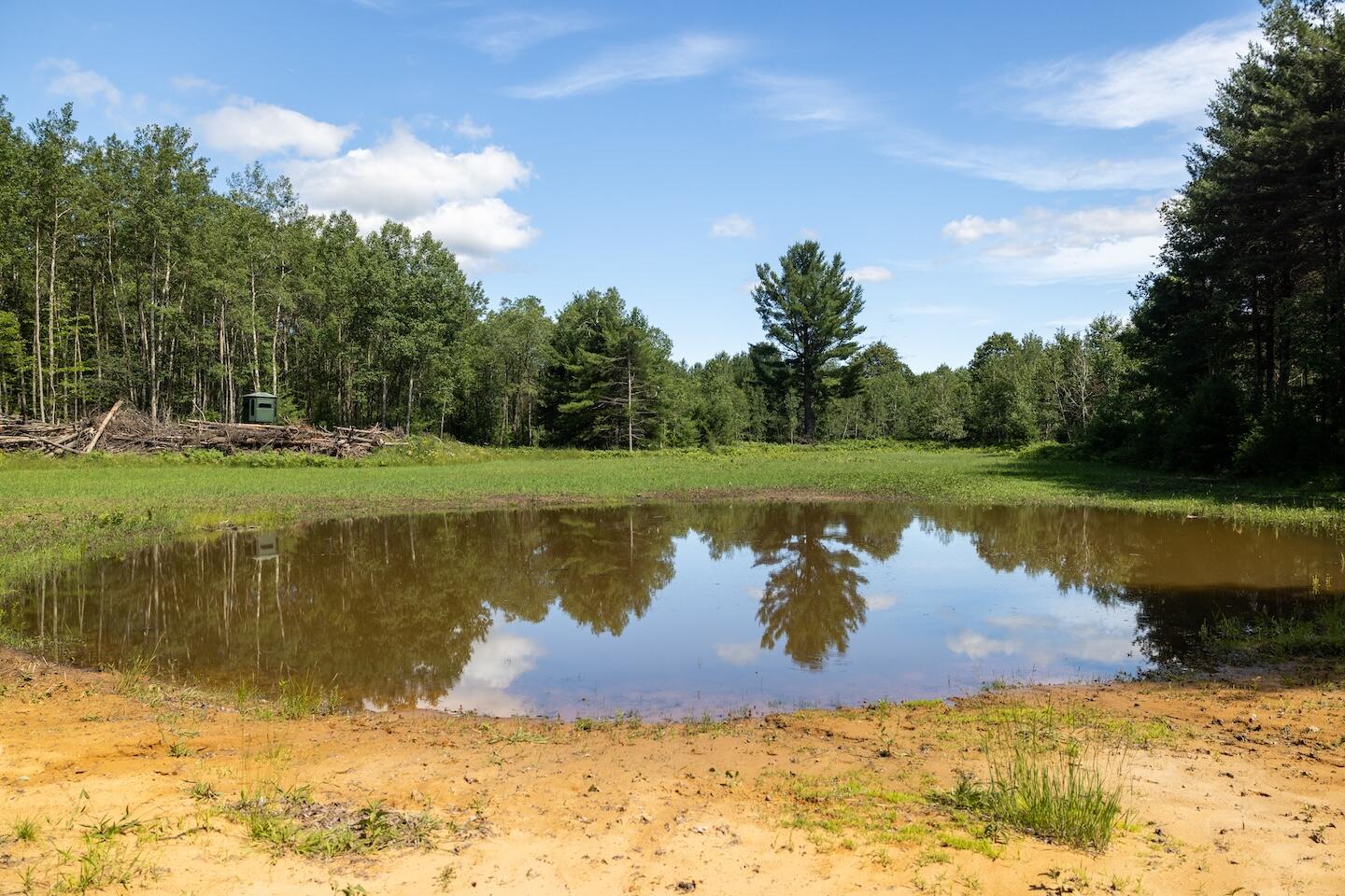1878 East Beyer Road Free Soil, MI 49411 - Photo 13 of 49 9