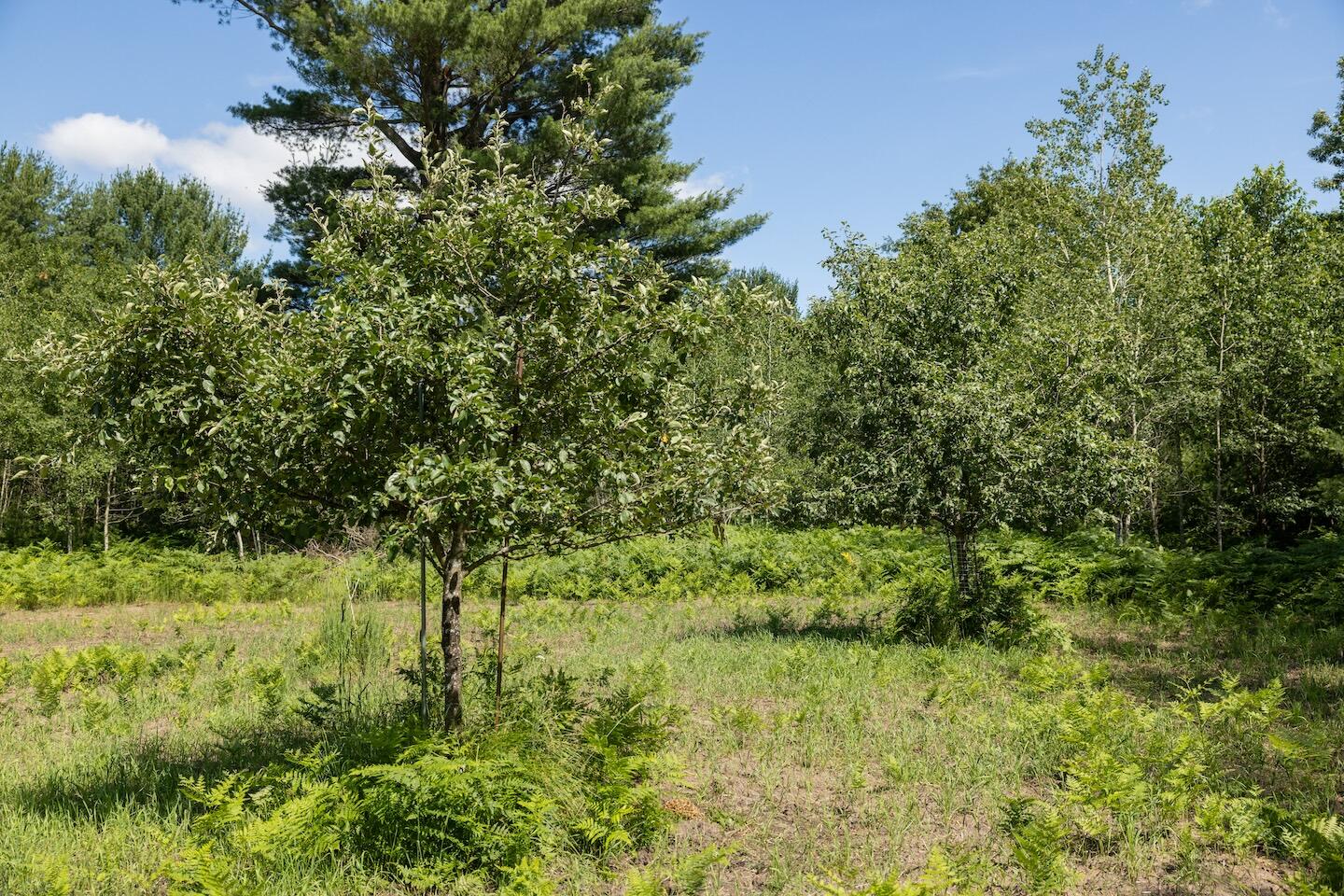 1878 East Beyer Road Free Soil, MI 49411 - Photo 14 of 49 10