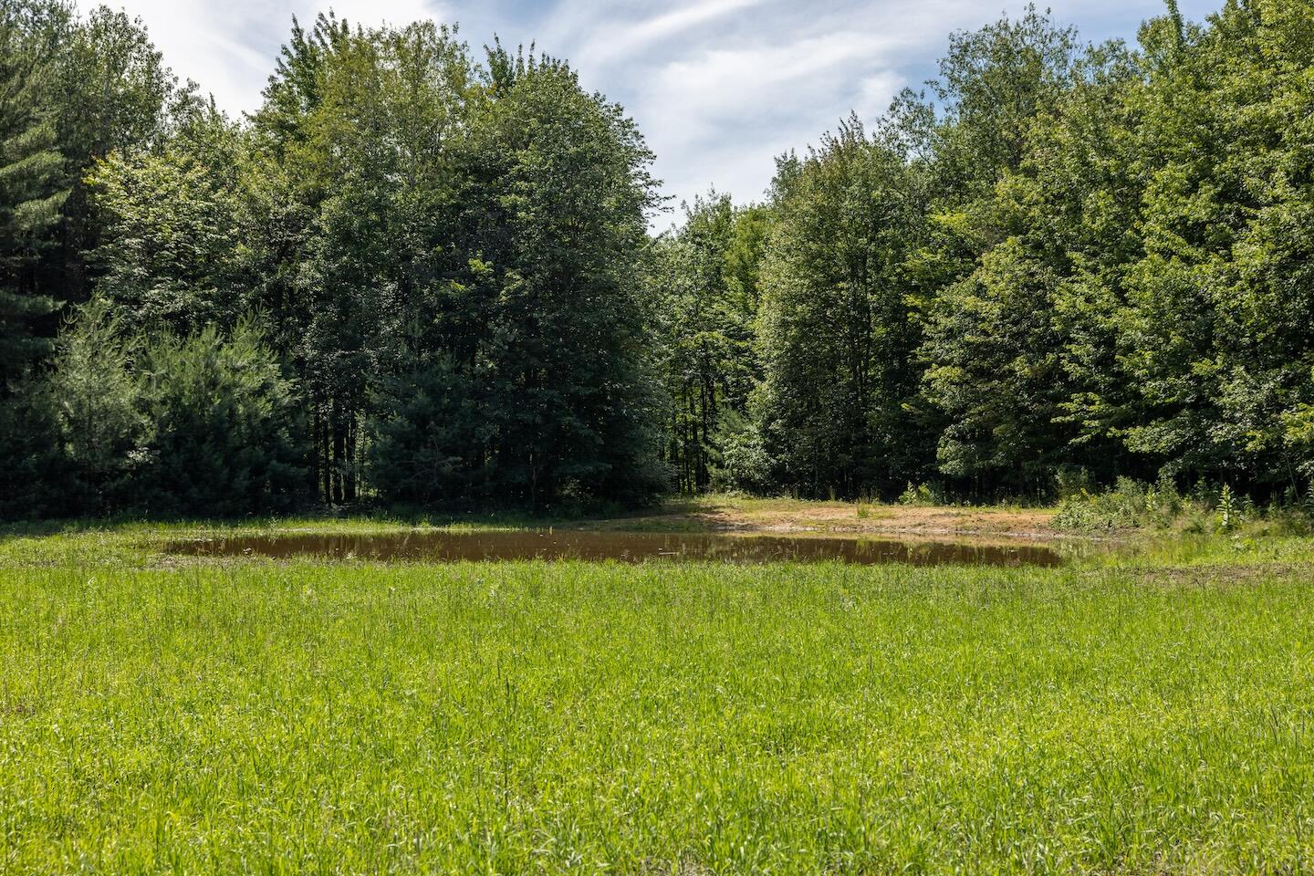 1878 East Beyer Road Free Soil, MI 49411 - Photo 18 of 49 14