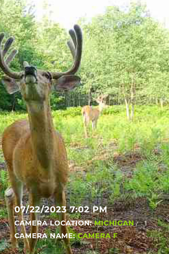 1878 East Beyer Road Free Soil, MI 49411 - Photo 20 of 49 TC3