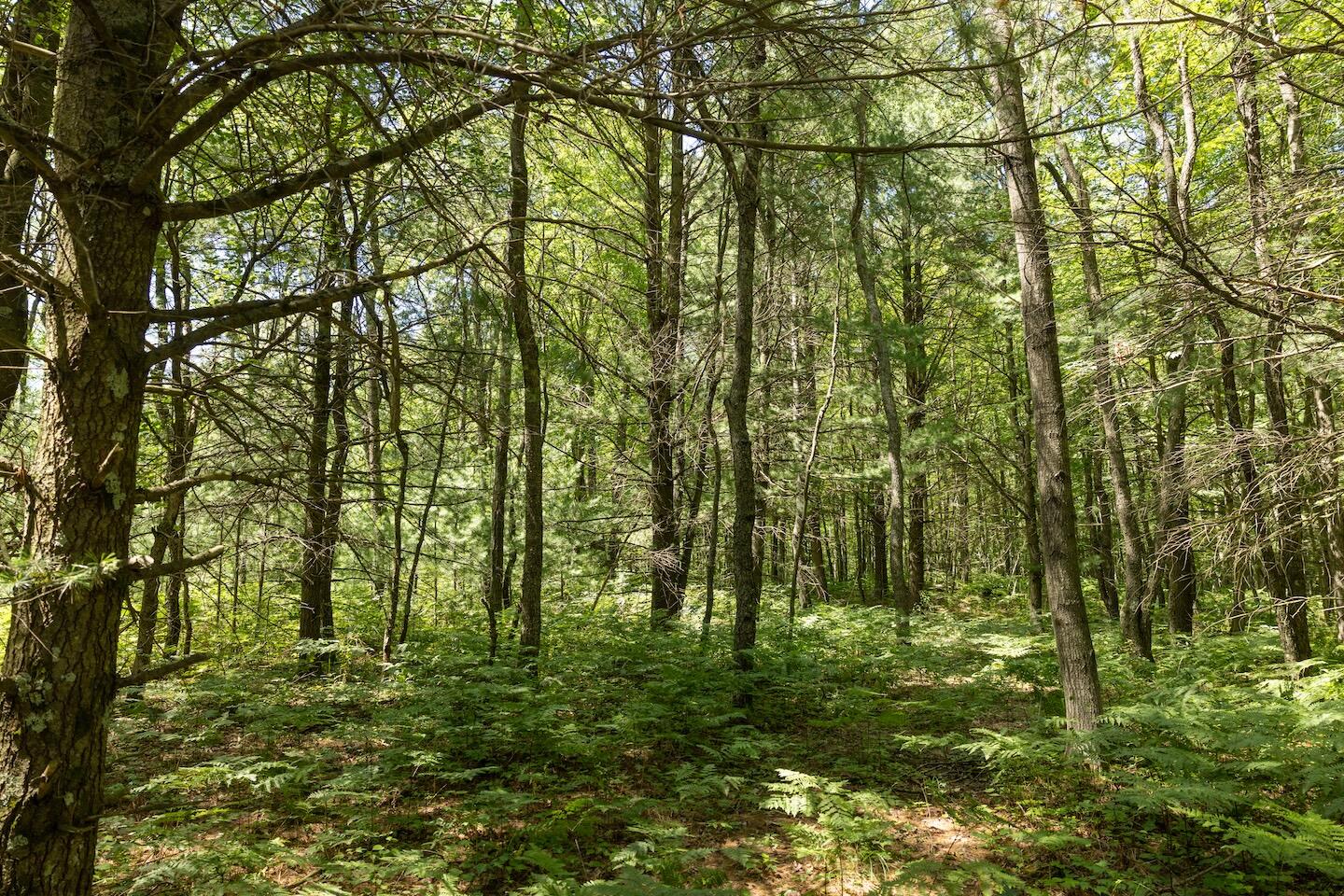 1878 East Beyer Road Free Soil, MI 49411 - Photo 26 of 49 16