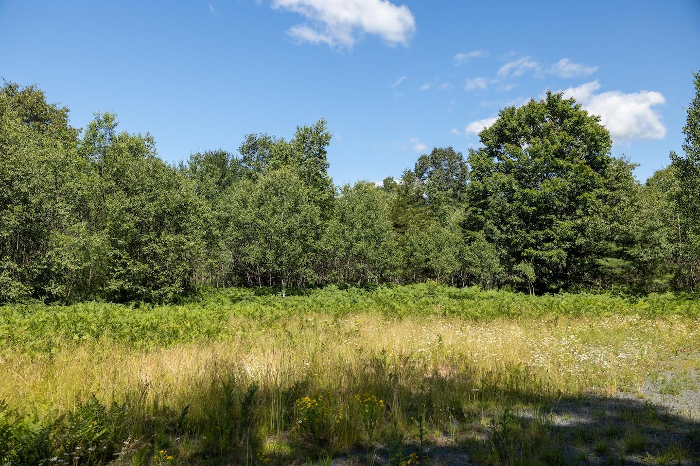 1878 East Beyer Road Free Soil, MI 49411 - Photo 31 of 49 20