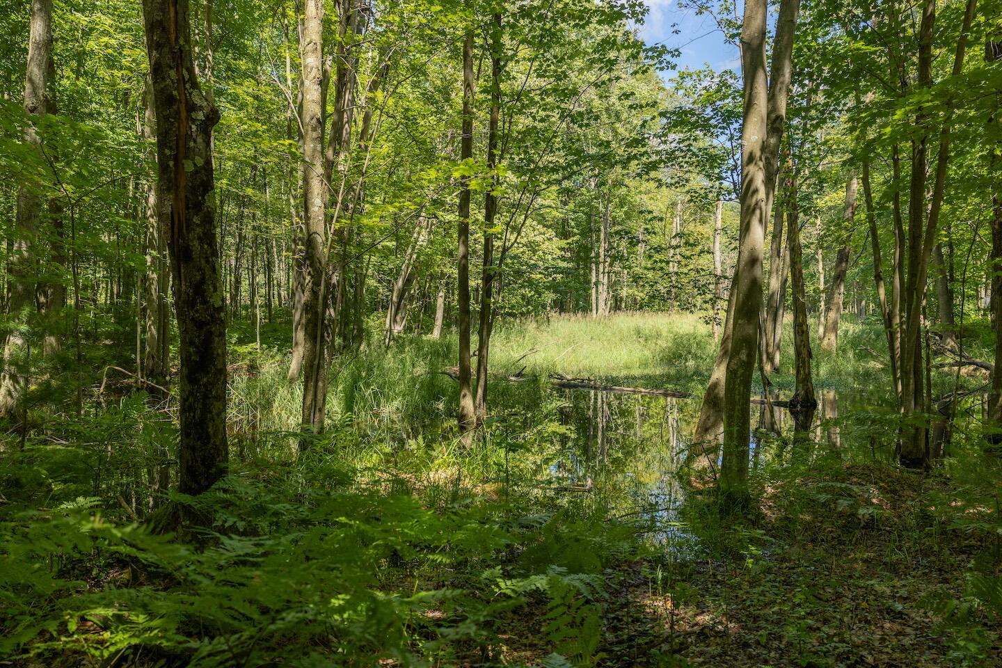 1878 East Beyer Road Free Soil, MI 49411 - Photo 37 of 49 27