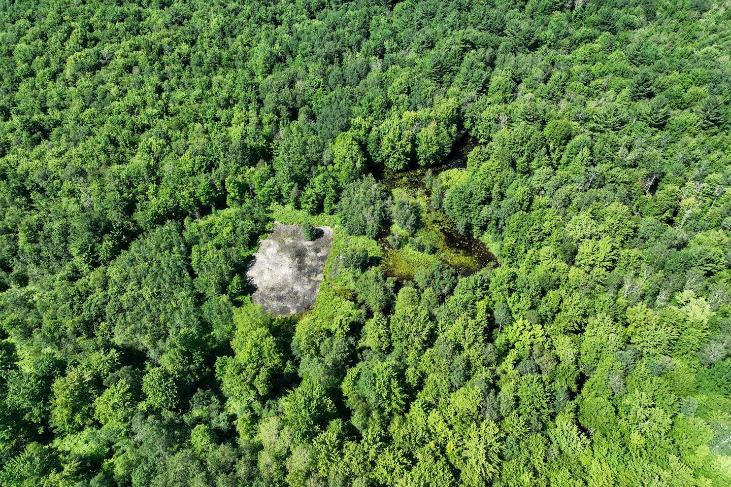 1878 East Beyer Road Free Soil, MI 49411 - Photo 40 of 49 30