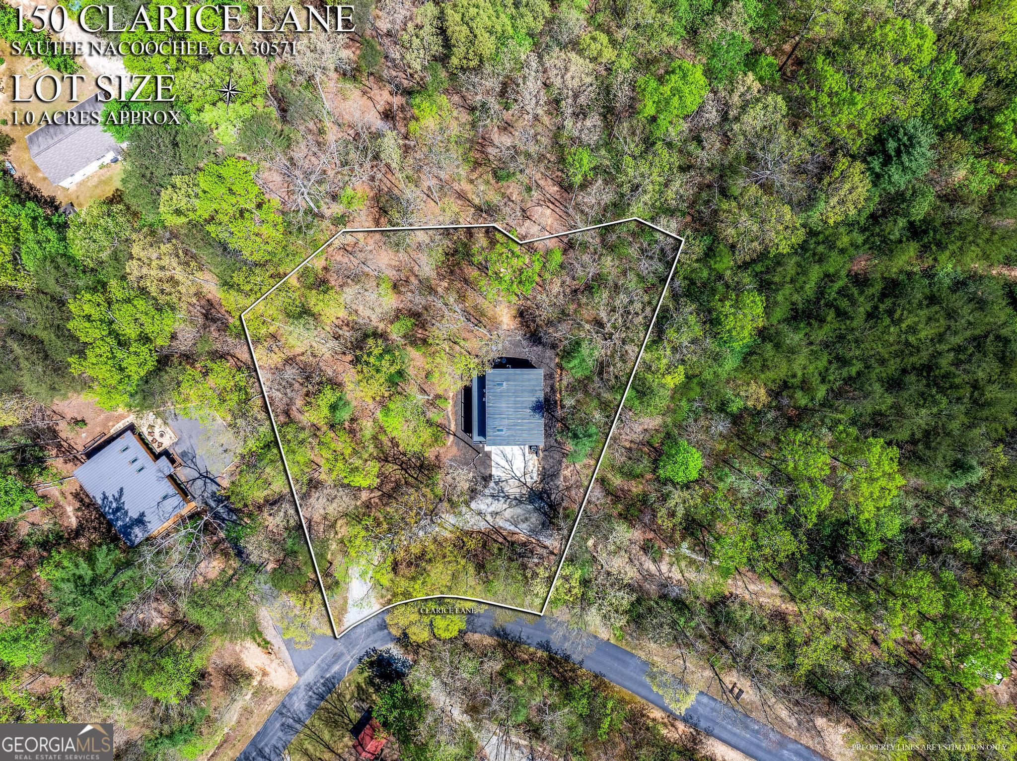 150 Clarice Lane Sautee Nacoochee, GA 30571 - Photo 38 of 42 a bird view of building