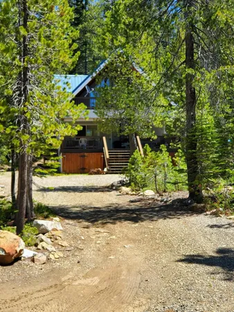 a view of a yard with plants