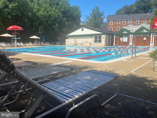 a view of a park that has large trees