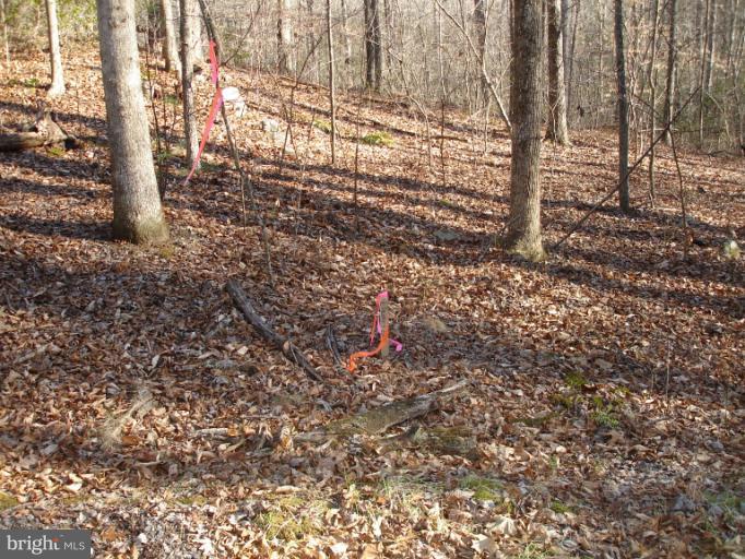 View- proposed driveway entrance
