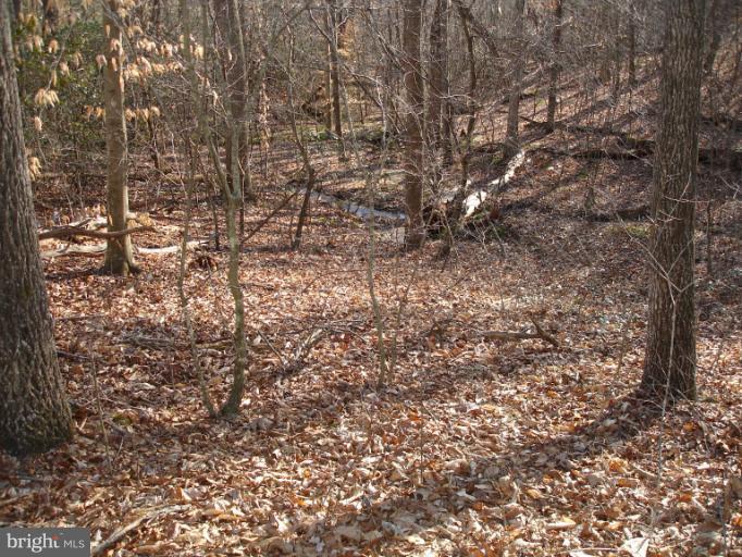 0 Curling Creek Road Rixeyville, VA 22737 - Photo 2 of 6 View
