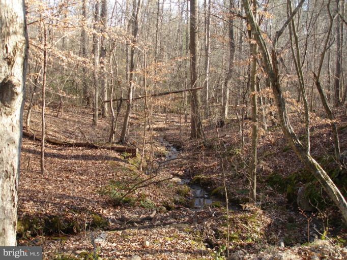 0 Curling Creek Road Rixeyville, VA 22737 - Photo 3 of 6 View of Curling Creek