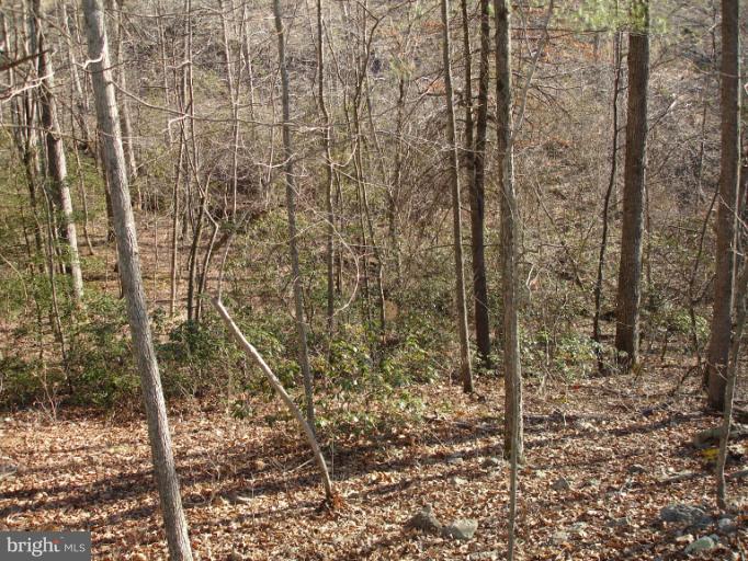0 Curling Creek Road Rixeyville, VA 22737 - Photo 4 of 6 View