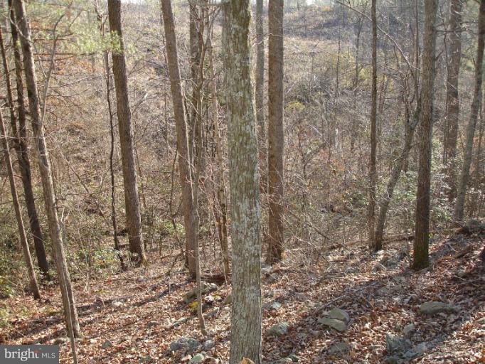 0 Curling Creek Road Rixeyville, VA 22737 - Photo 5 of 6 View