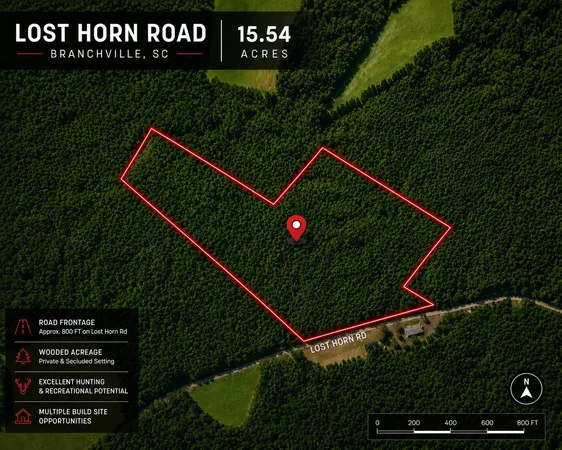 $100,000 | 1 Lost Horn Road, Reevesville, SC 29471