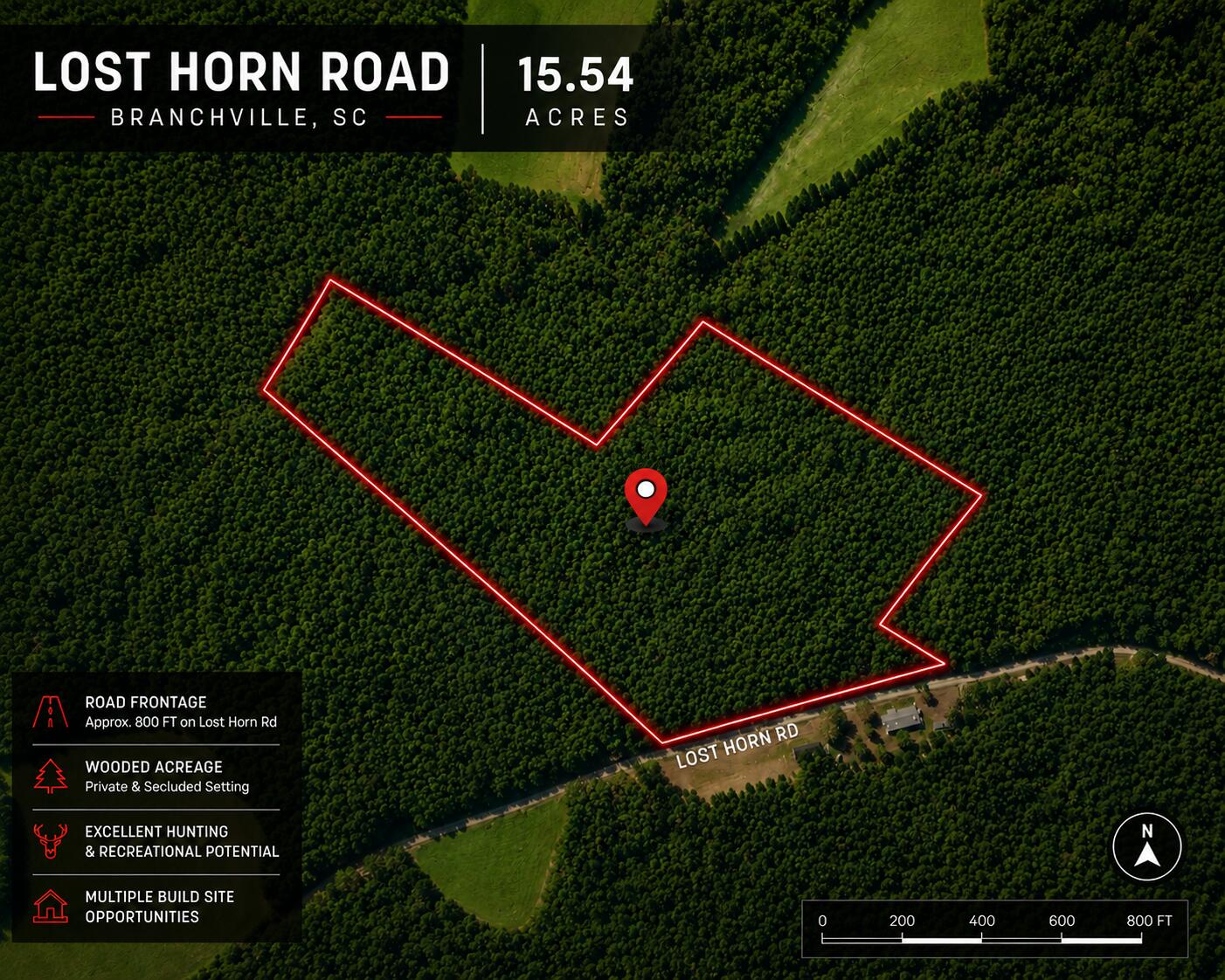 1 Lost Horn Road Reevesville, SC 29471 - Photo 1 of 11 l1