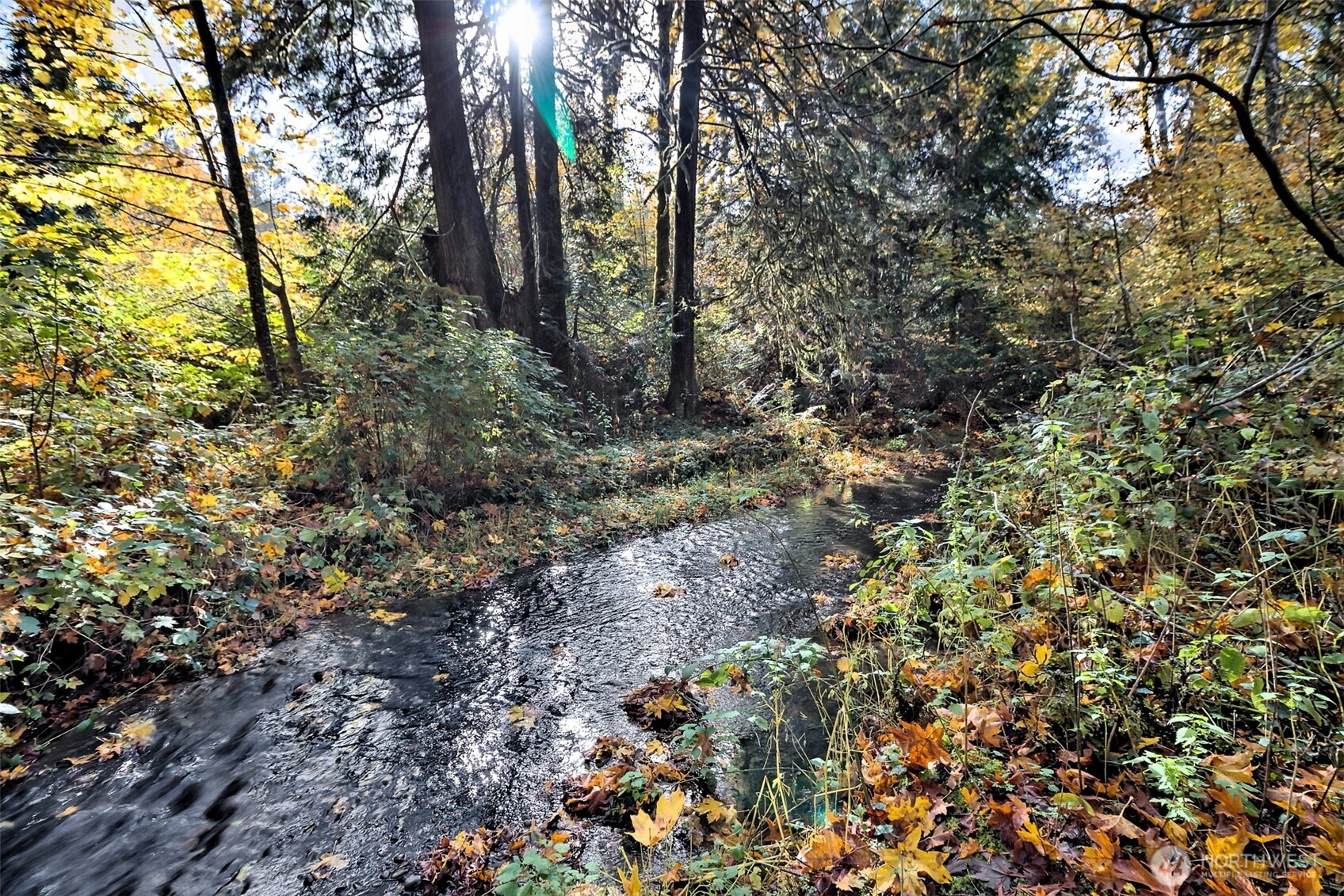 -xxxx East Dalby Road Union, WA 98592 - Photo 11 of 17 a view of a forest with trees