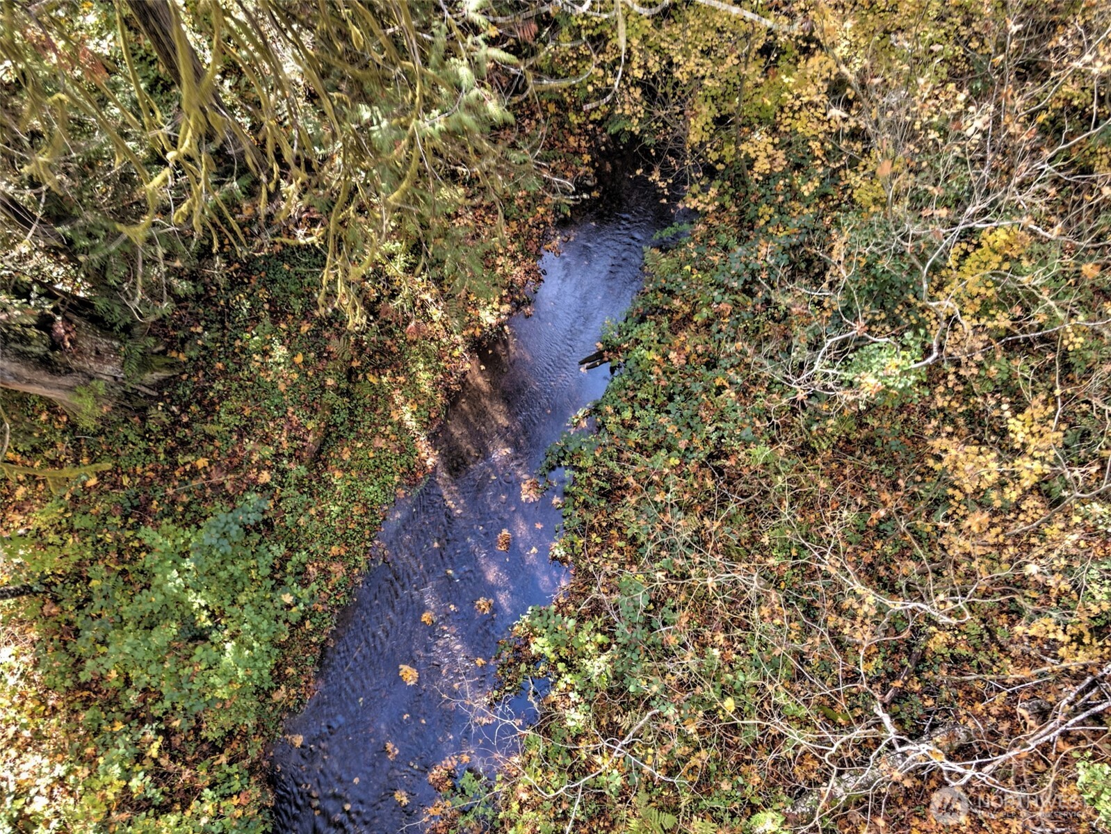 -xxxx East Dalby Road Union, WA 98592 - Photo 12 of 17 a picture of trees