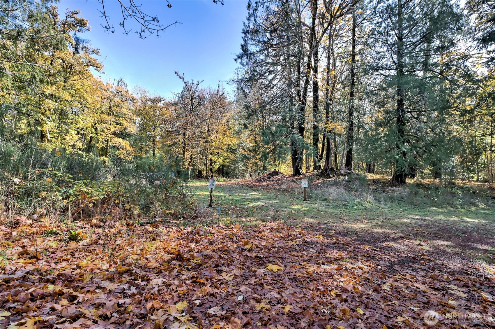 -xxxx East Dalby Road Union, WA 98592 - Photo 4 of 17 a view of outdoor space with trees