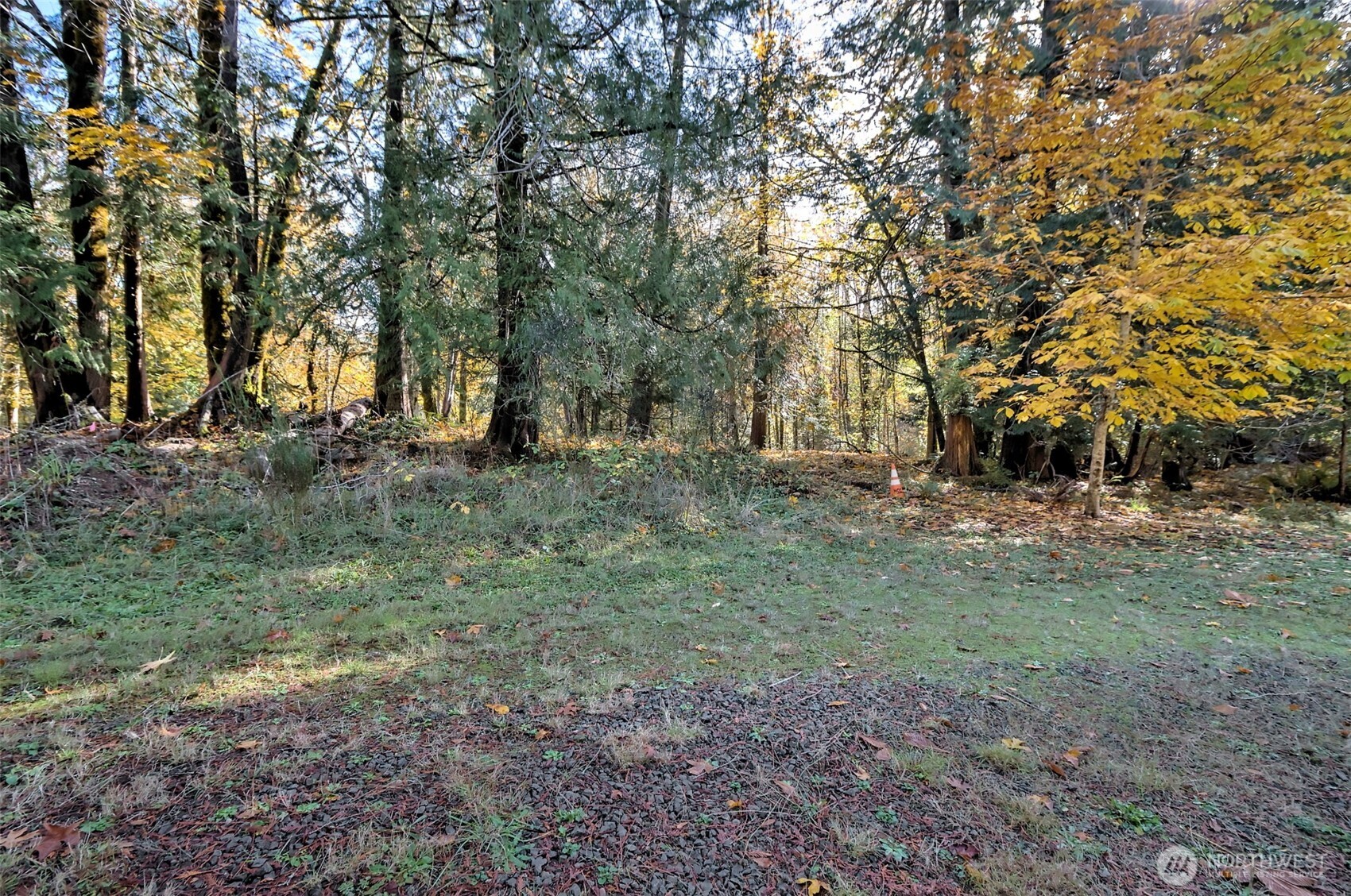 -xxxx East Dalby Road Union, WA 98592 - Photo 5 of 17 a view of outdoor space with trees all around