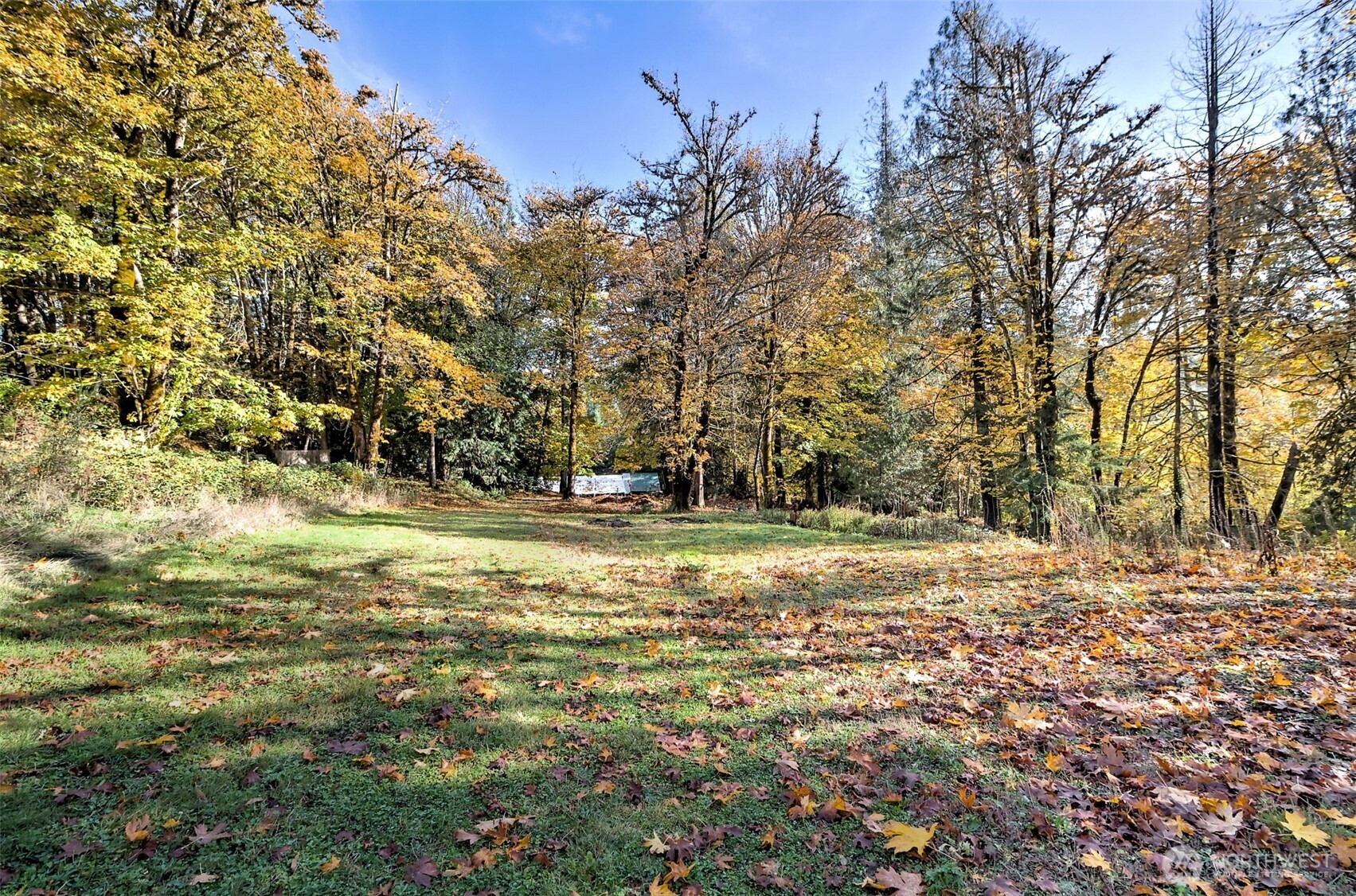 -xxxx East Dalby Road Union, WA 98592 - Photo 6 of 17 a view of a yard with a tree