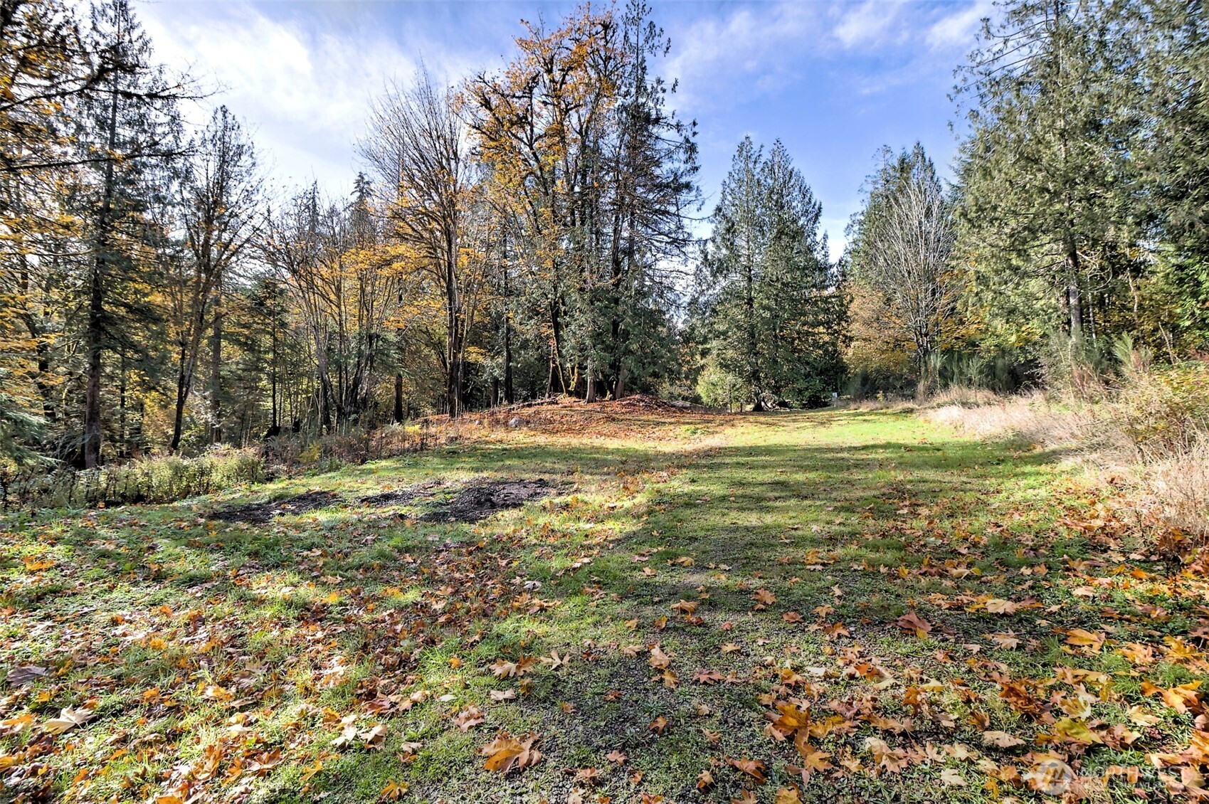 -xxxx East Dalby Road Union, WA 98592 - Photo 7 of 17 a view of outdoor space with trees