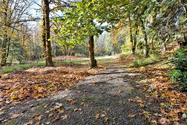 a fire hydrant in the middle of a field