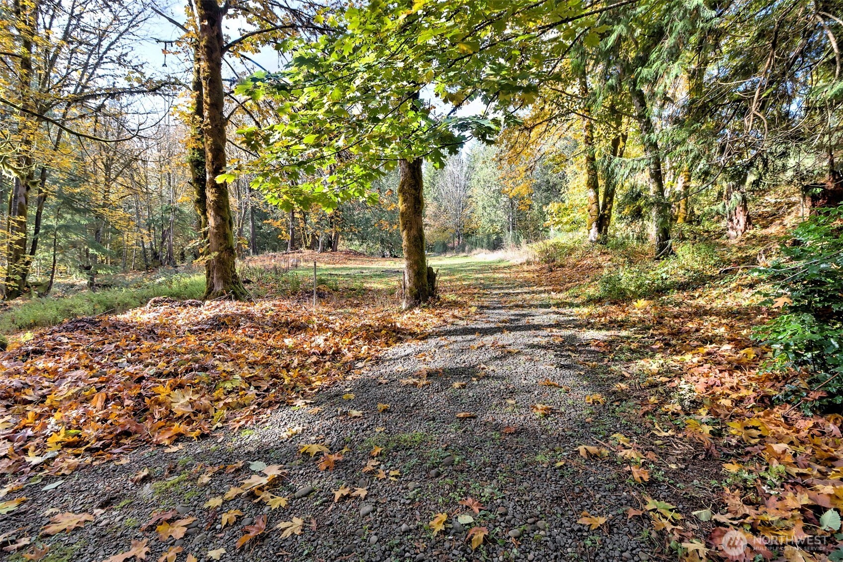-xxxx East Dalby Road Union, WA 98592 - Photo 8 of 17 a fire hydrant in the middle of a field