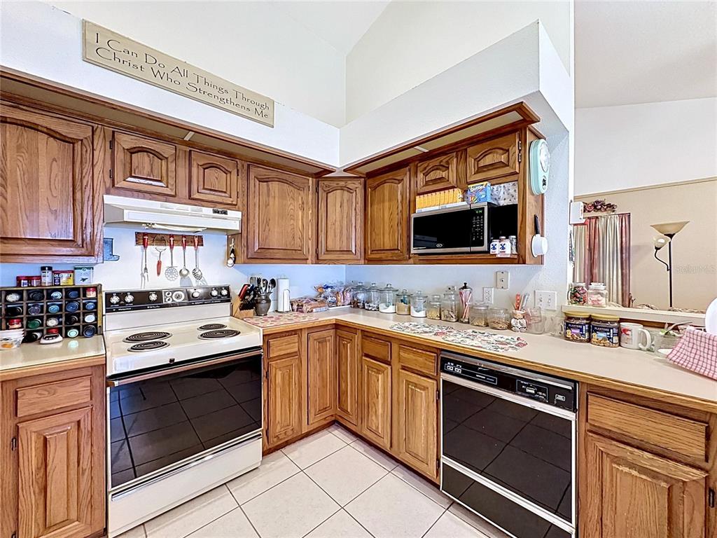 1681 East Spring Ridge Circle Winter Garden, FL 34787 - Photo 15 of 70