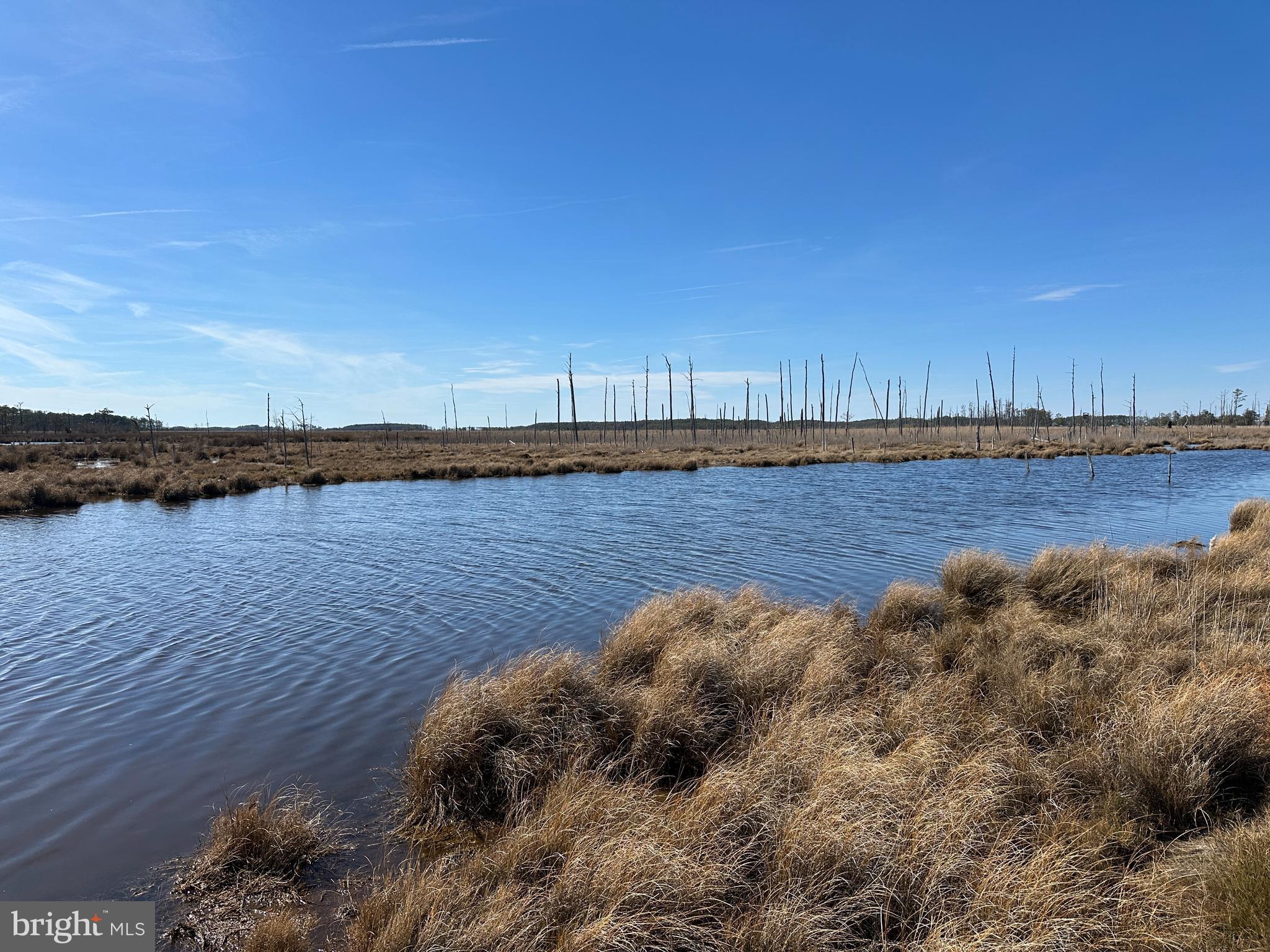 2775 Toddville Road Toddville, MD 21672 - Photo 11 of 59 a view of a lake with lawn chairs and wooden fence