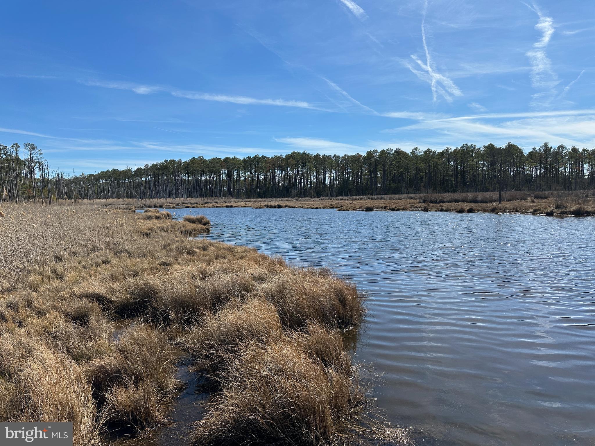 2775 Toddville Road Toddville, MD 21672 - Photo 12 of 59 a view of a lake from a yard