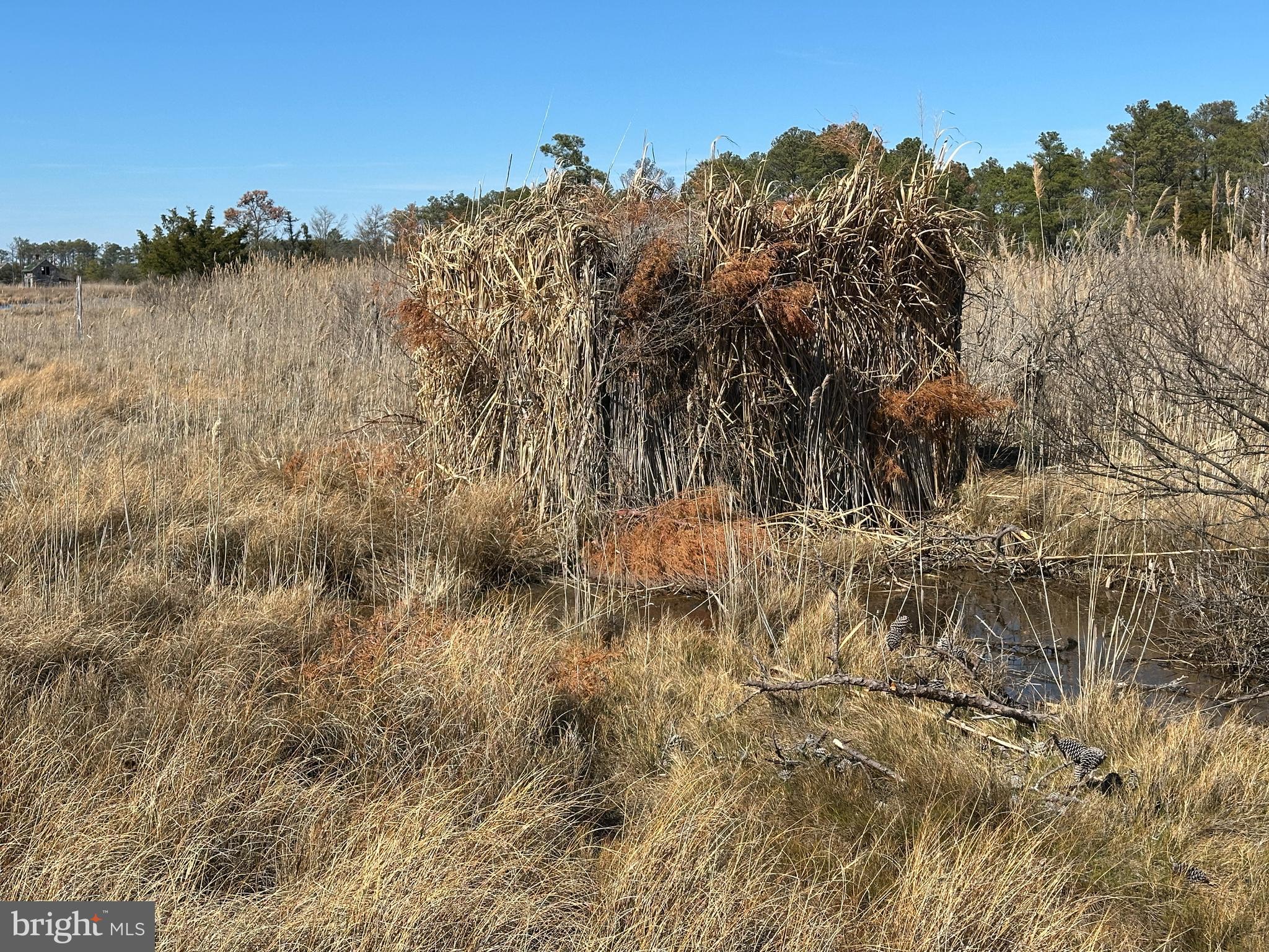 2775 Toddville Road Toddville, MD 21672 - Photo 13 of 59 a view of mountain view with mountains in the background