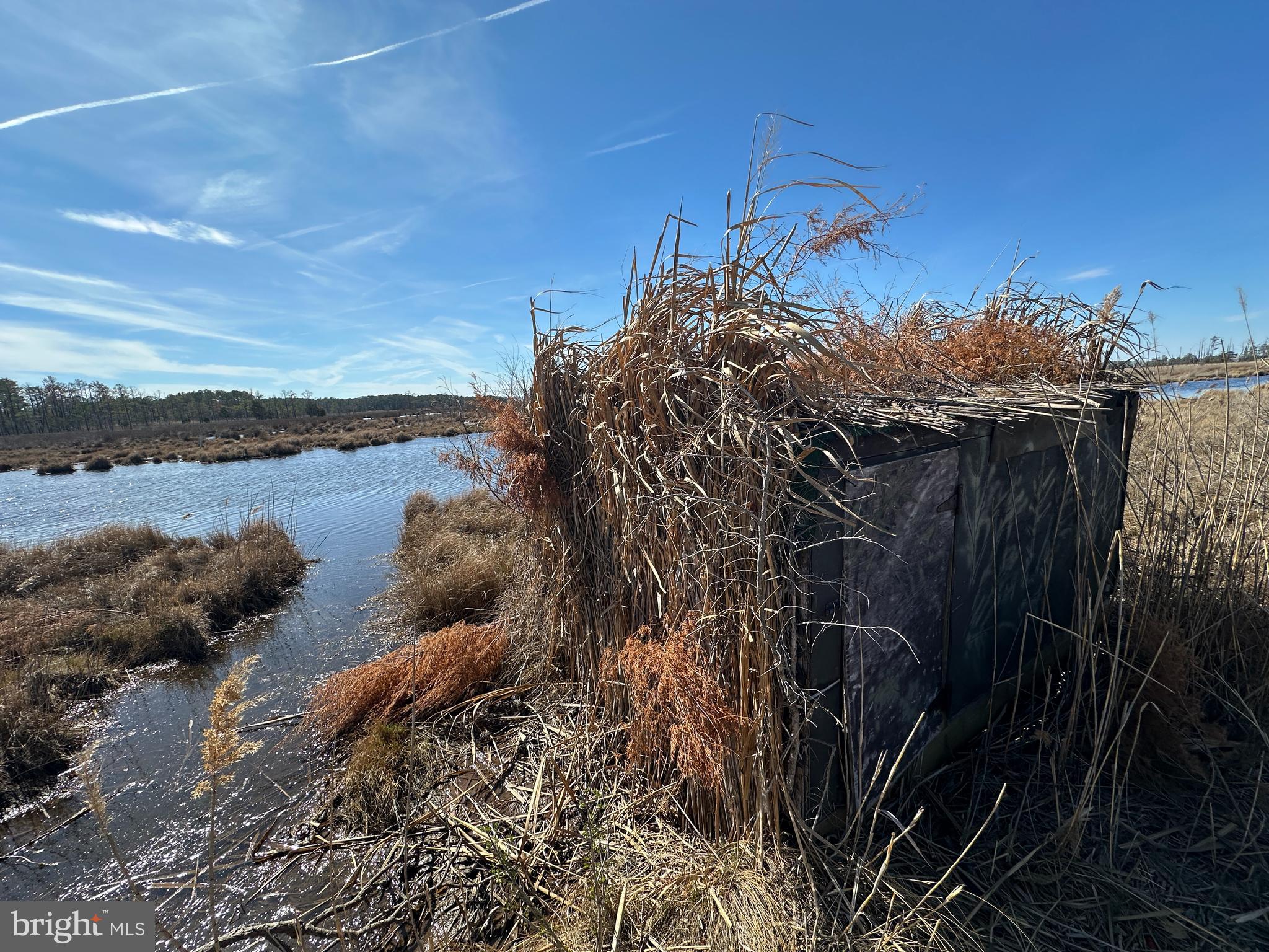 2775 Toddville Road Toddville, MD 21672 - Photo 14 of 59 a view of a lake