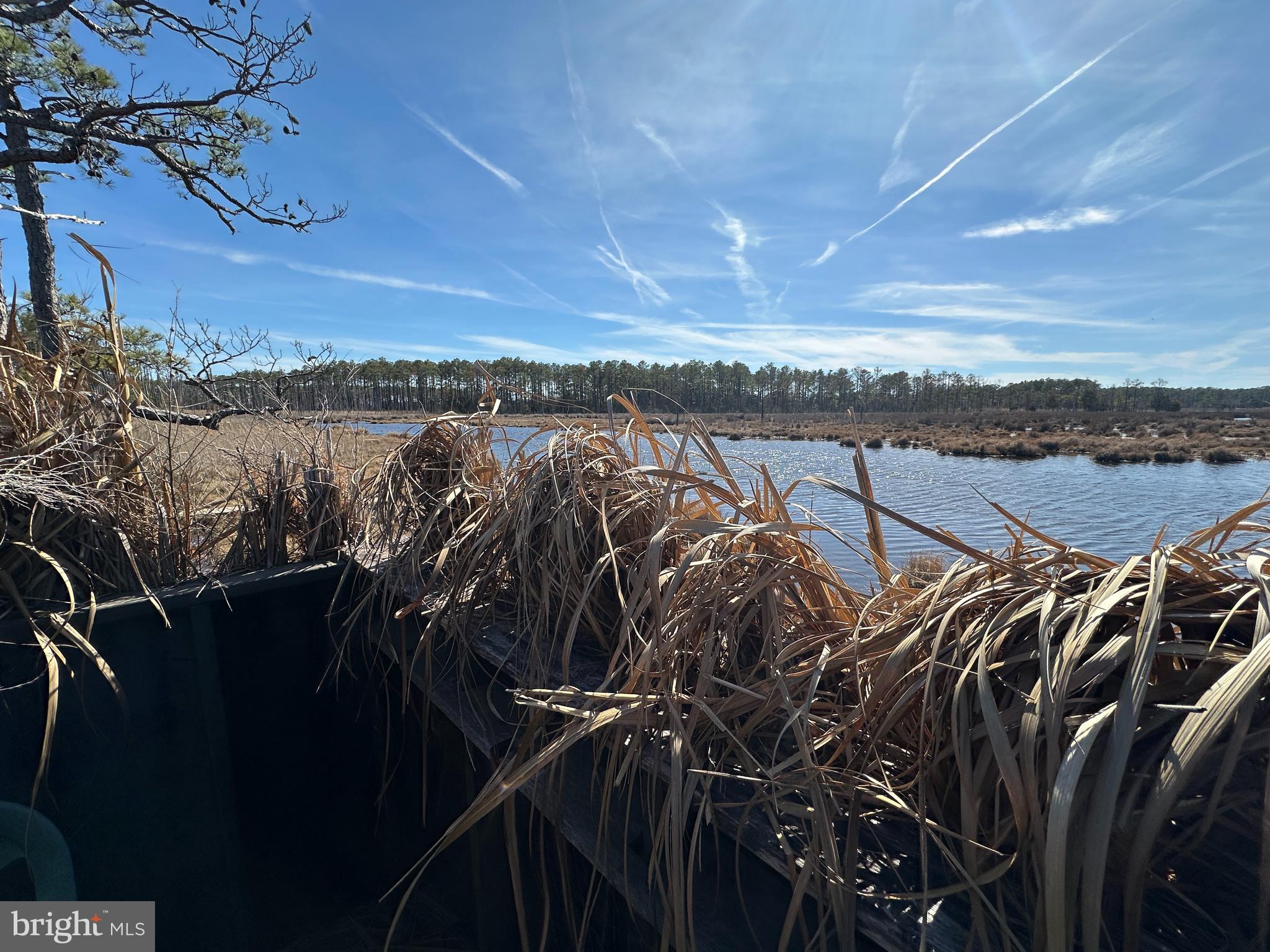 2775 Toddville Road Toddville, MD 21672 - Photo 15 of 59 a view of a lake