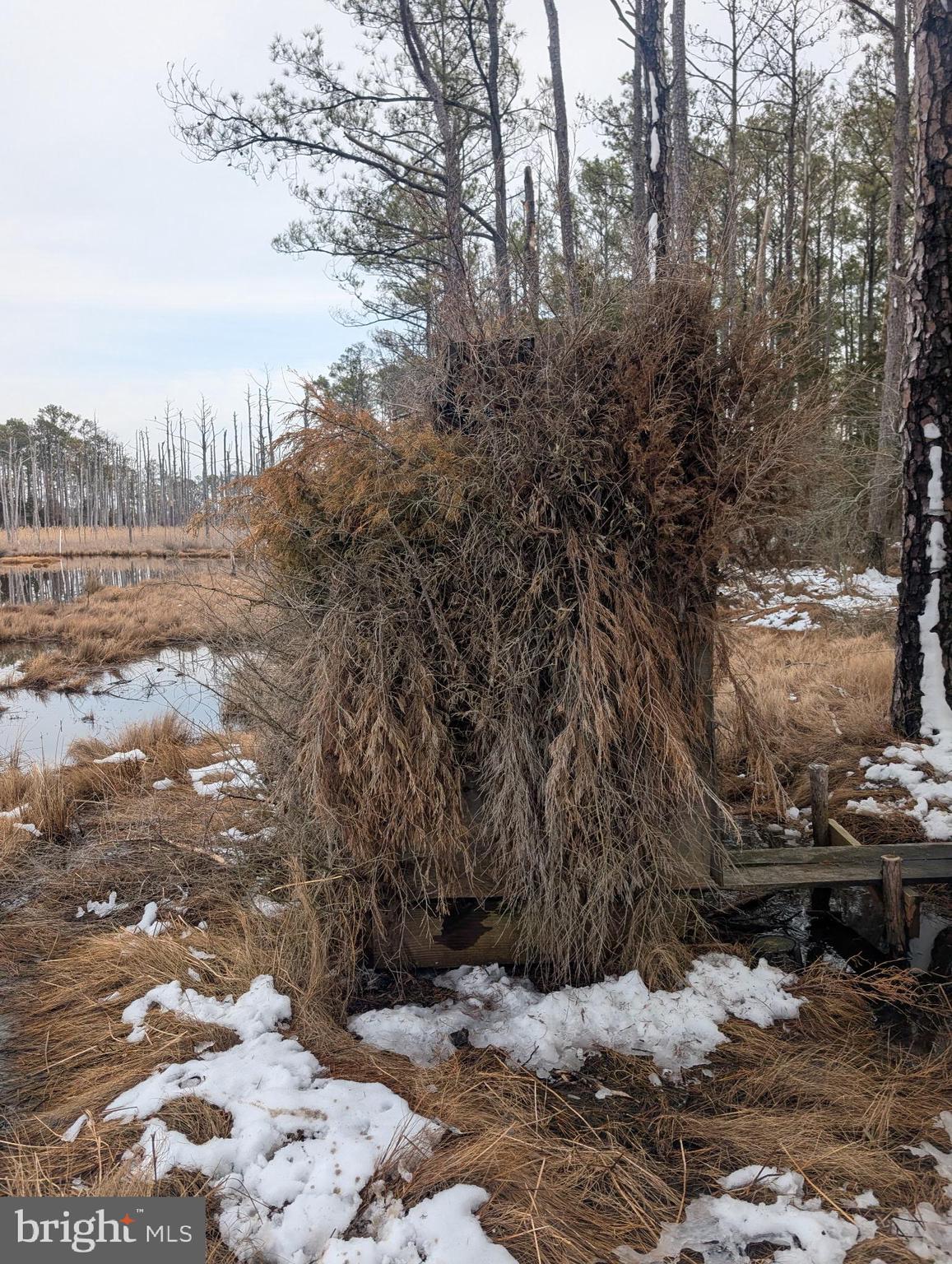 2775 Toddville Road Toddville, MD 21672 - Photo 16 of 59 a view of a road with snow on the road