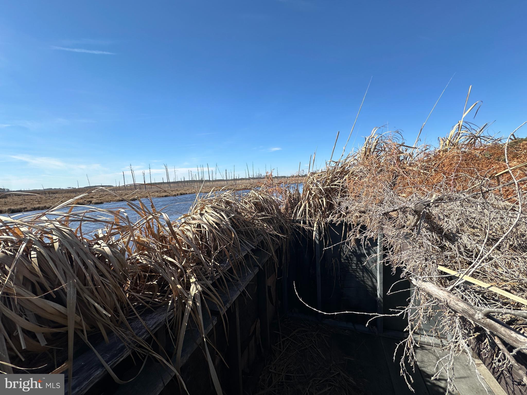 2775 Toddville Road Toddville, MD 21672 - Photo 18 of 59