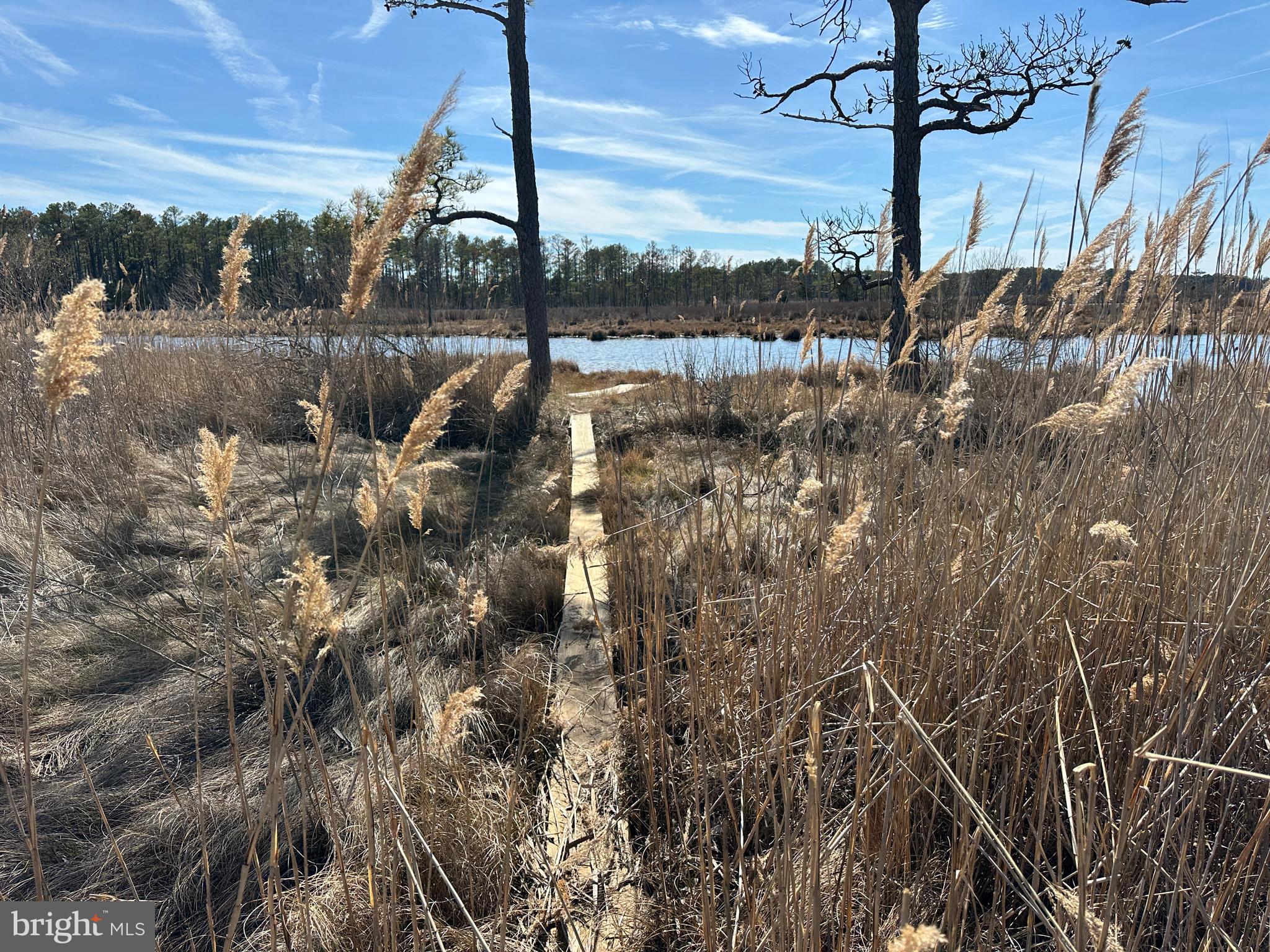 2775 Toddville Road Toddville, MD 21672 - Photo 19 of 59 a view of a lake in front of house
